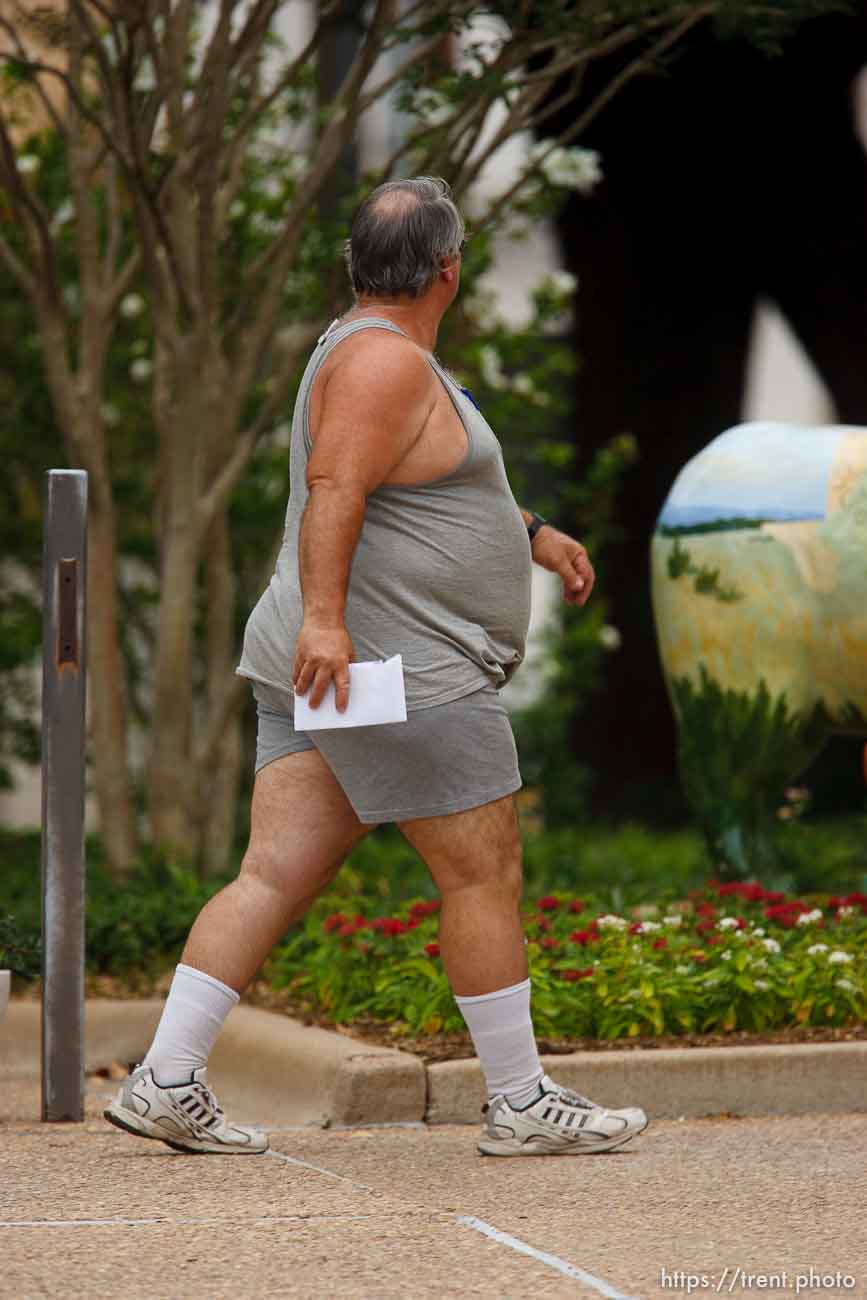 Polygamy in the American West