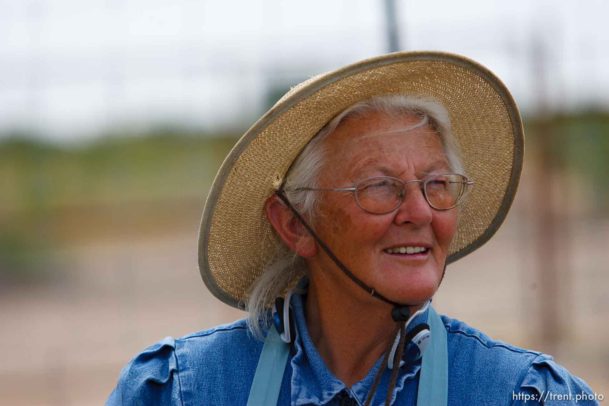 Polygamy in the American West