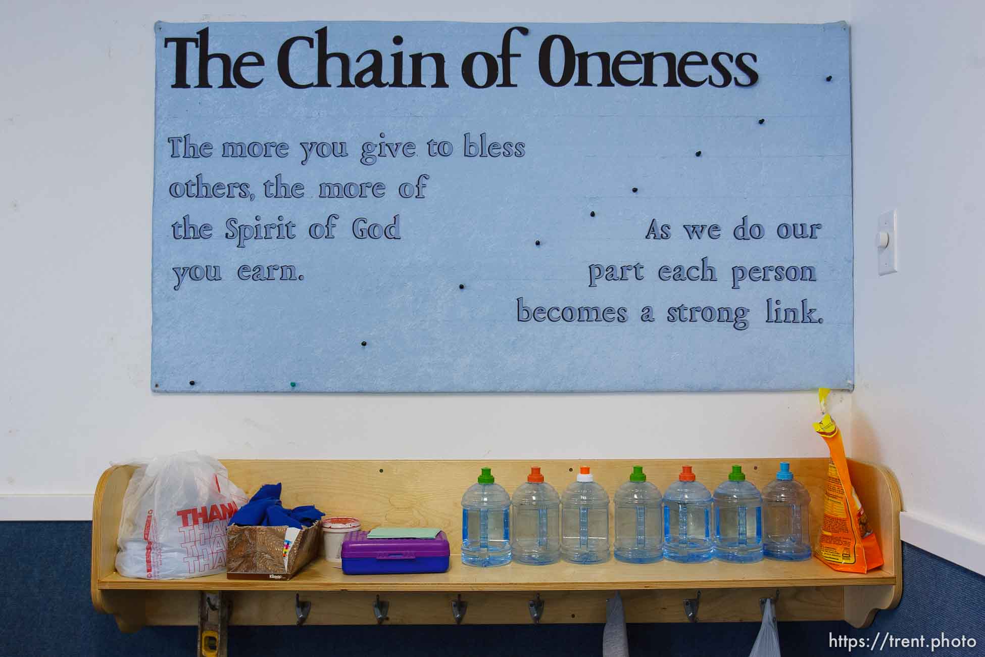 Polygamy in the American West