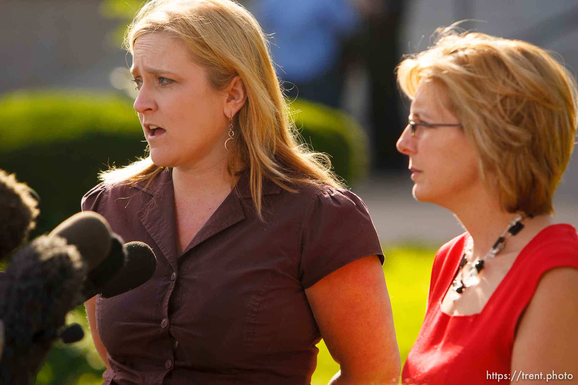 Polygamy in the American West