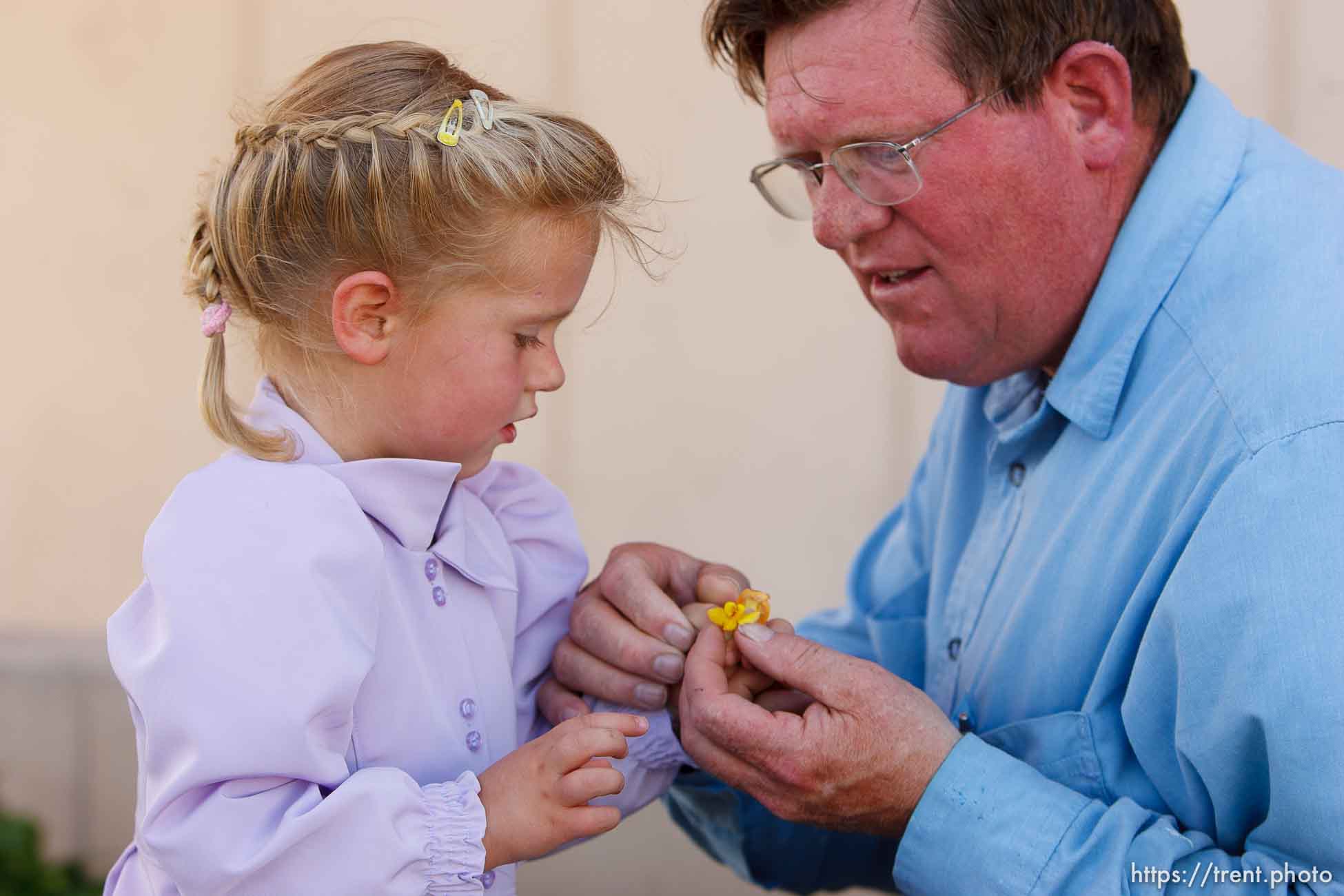 Canon EOS-1D Mark II N