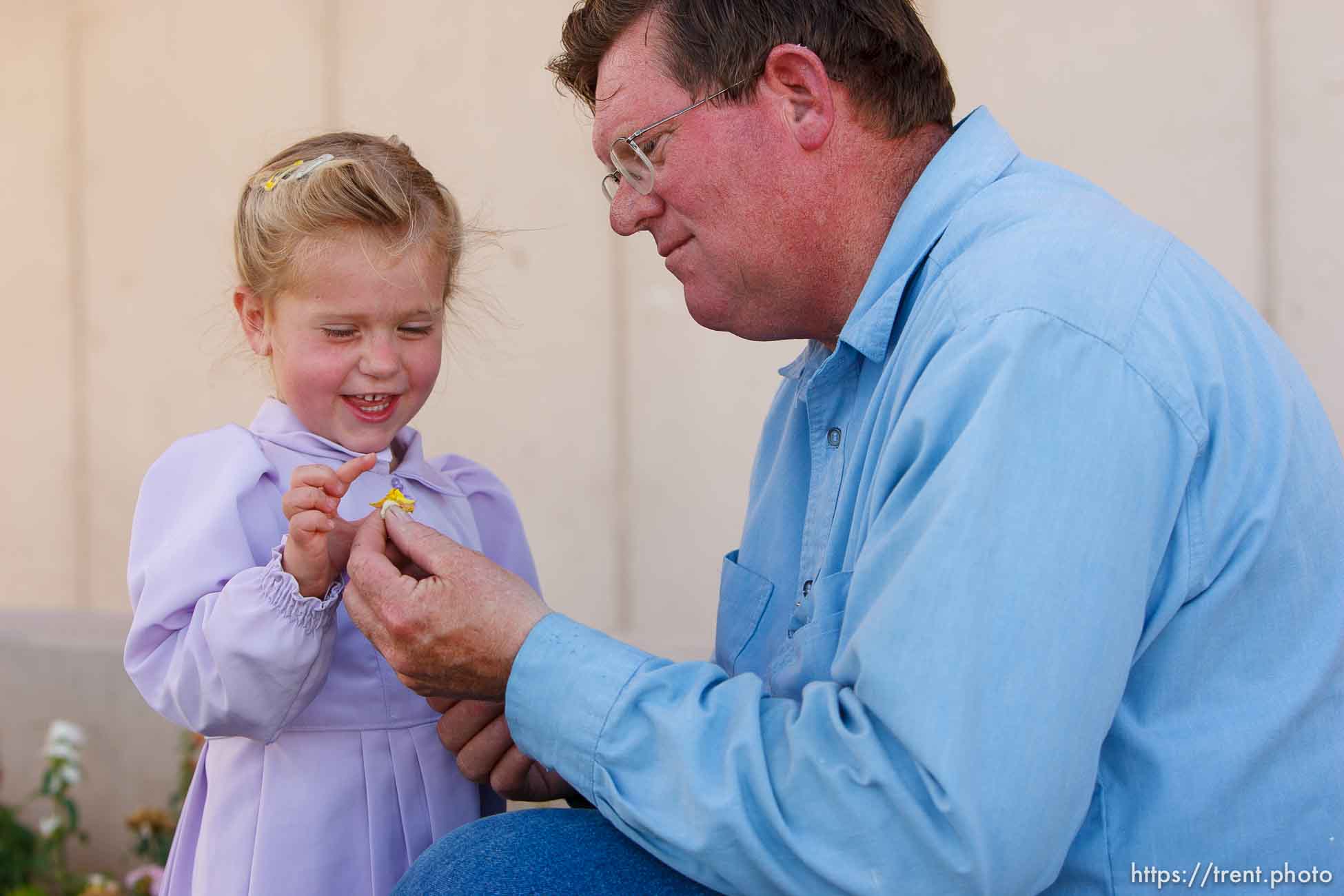 Polygamy in the American West