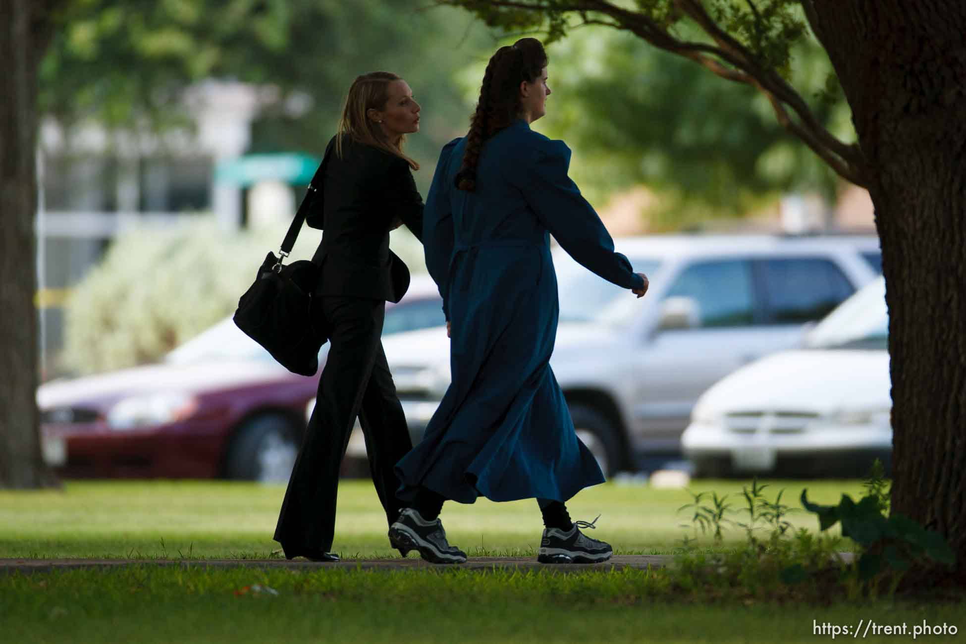 Polygamy in the American West