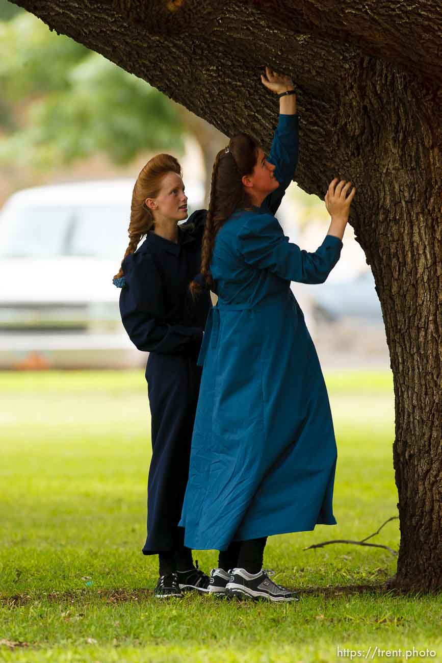 Polygamy in the American West
