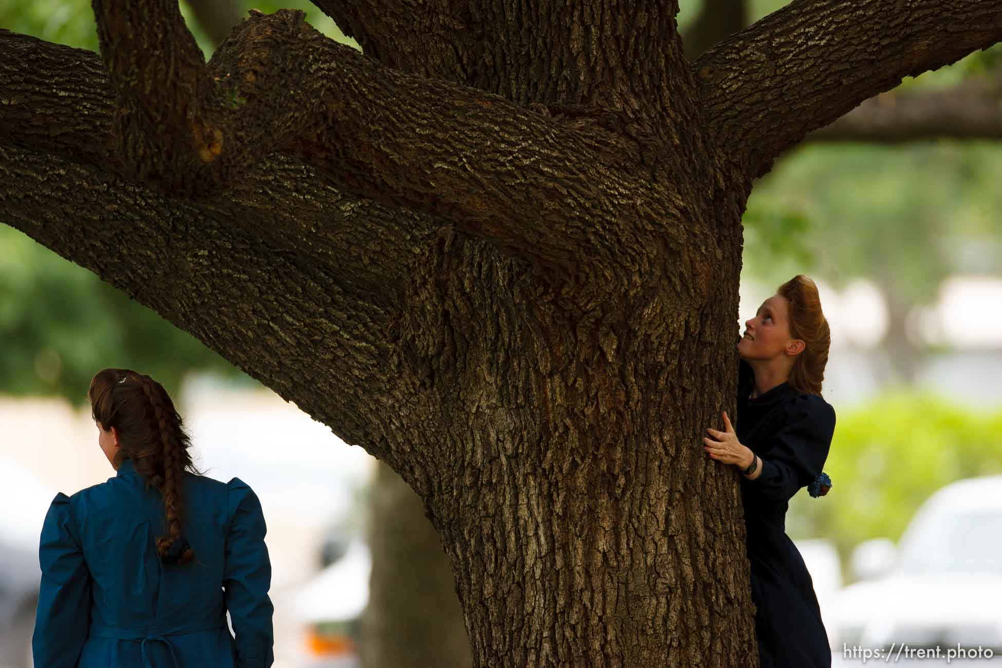 Polygamy in the American West
