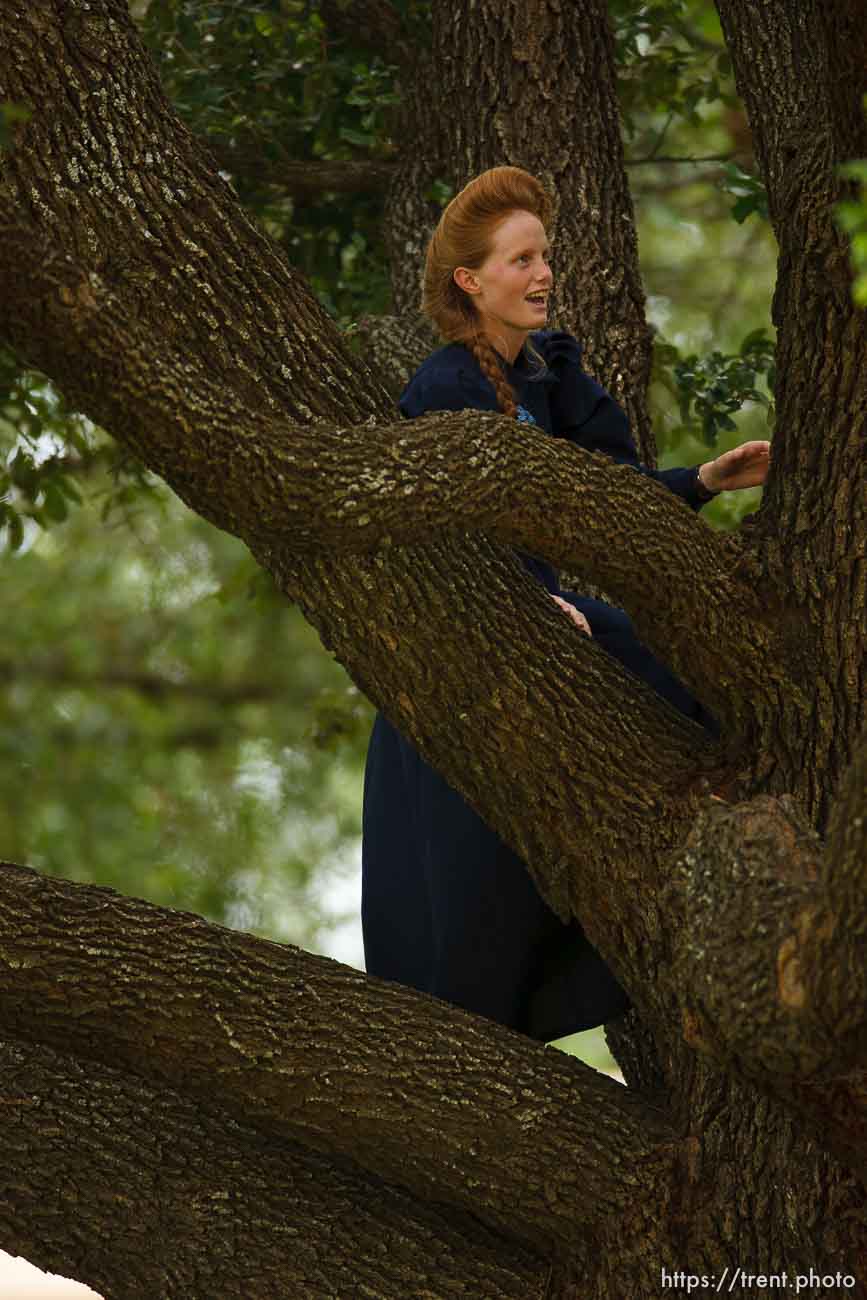 Polygamy in the American West