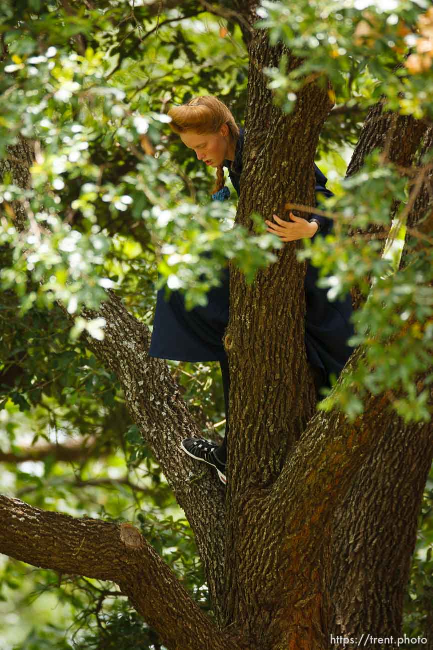 Canon EOS-1D Mark II N