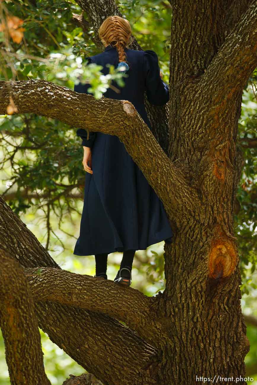 Canon EOS-1D Mark II N