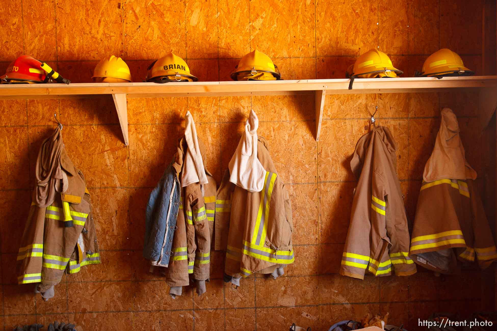 Polygamy in the American West