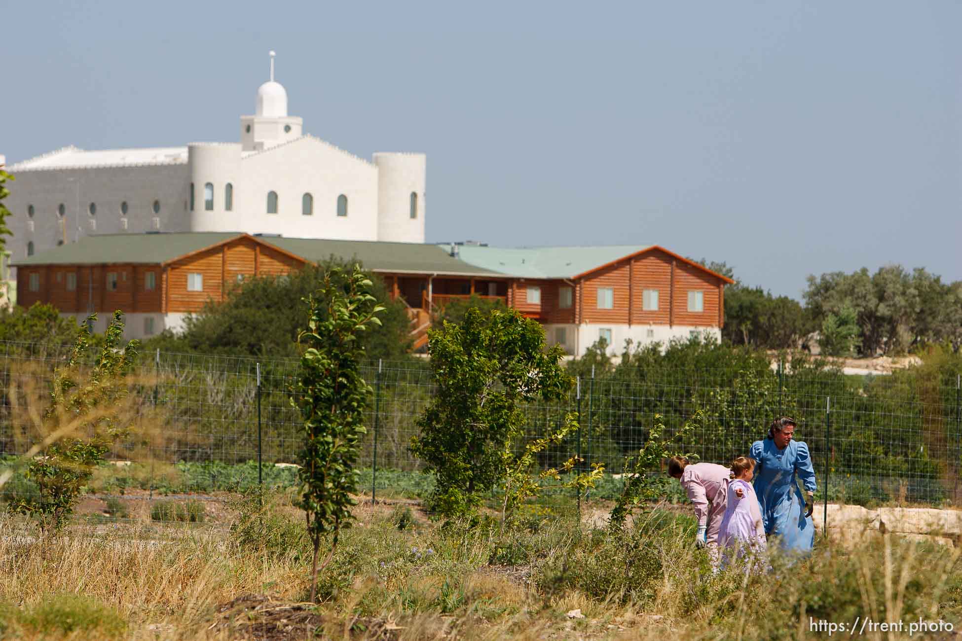 Canon EOS-1D Mark II N