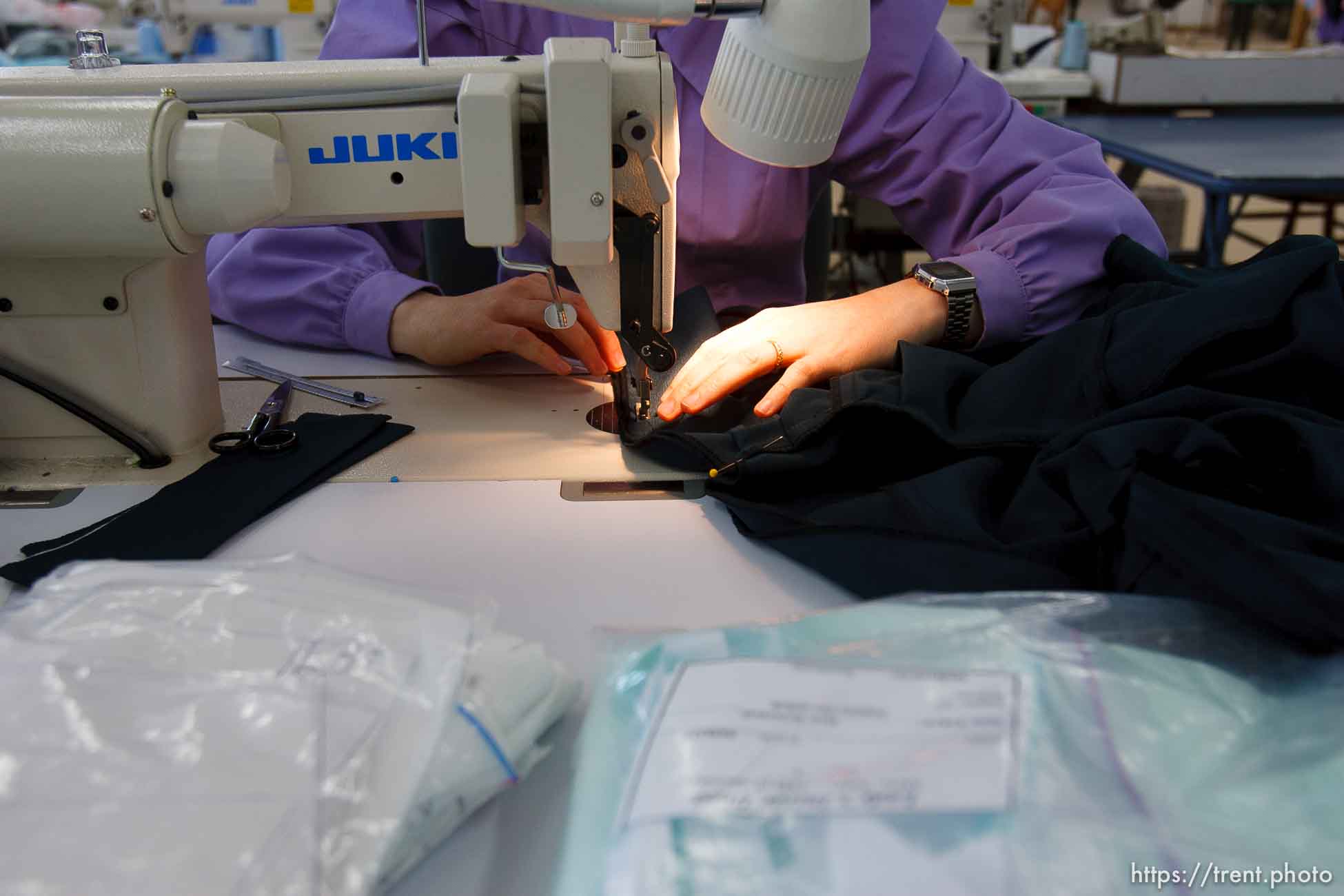 Polygamy in the American West