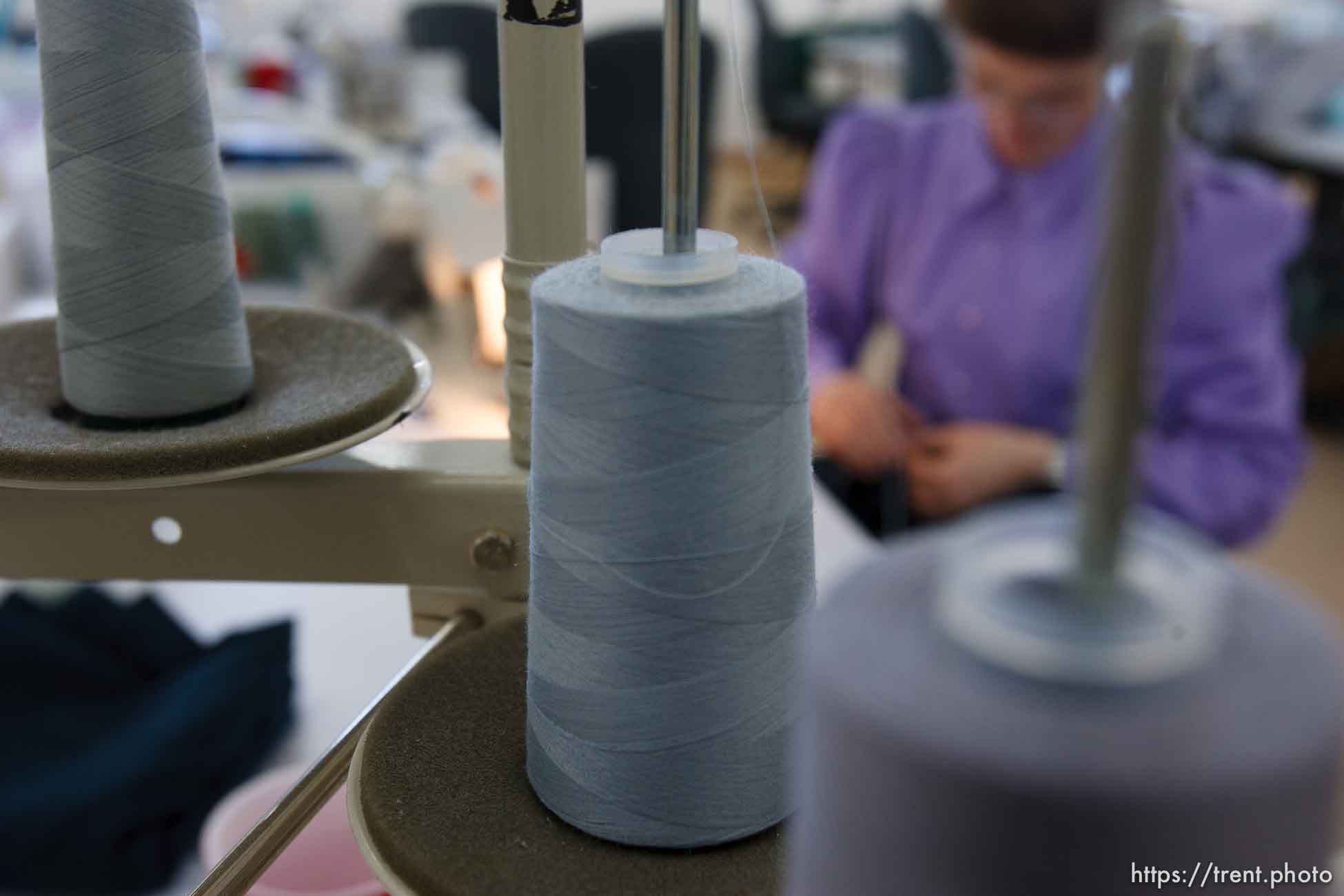 Polygamy in the American West