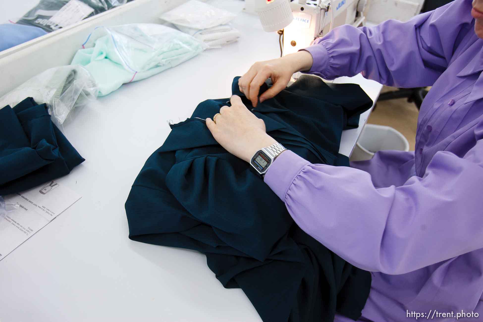 Polygamy in the American West