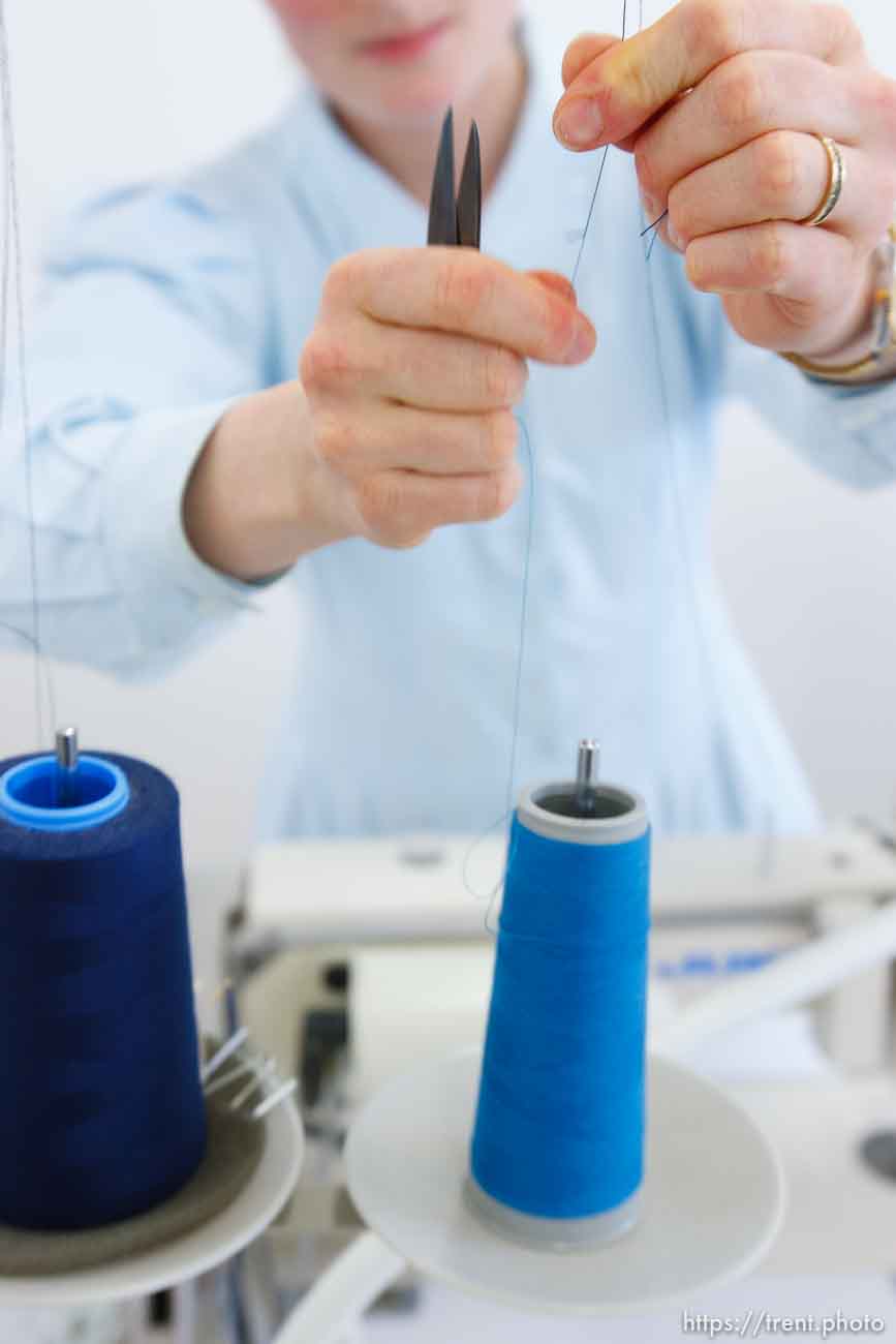 Polygamy in the American West