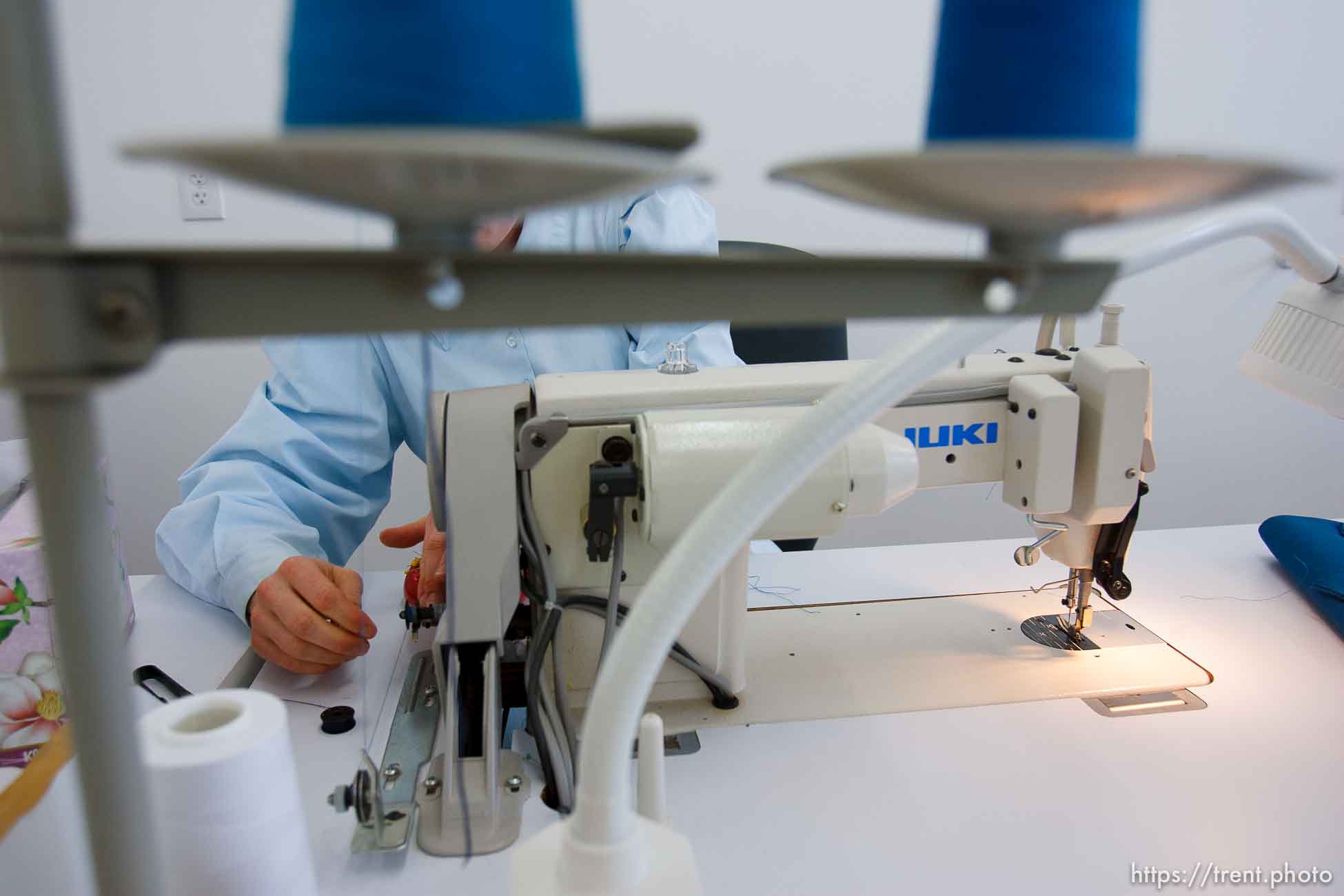 Polygamy in the American West