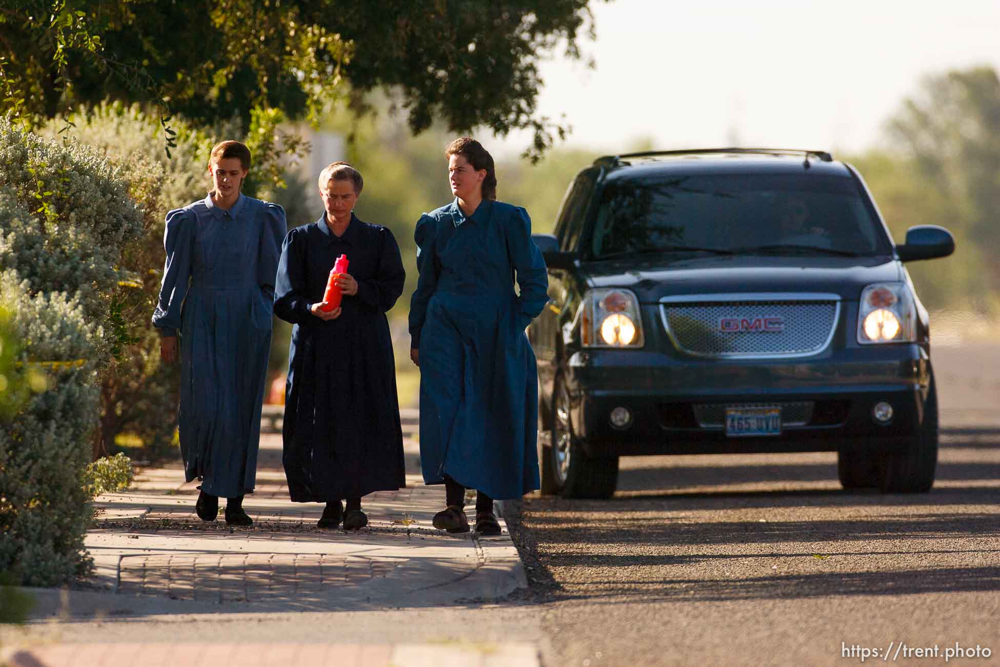 Polygamy in the American West