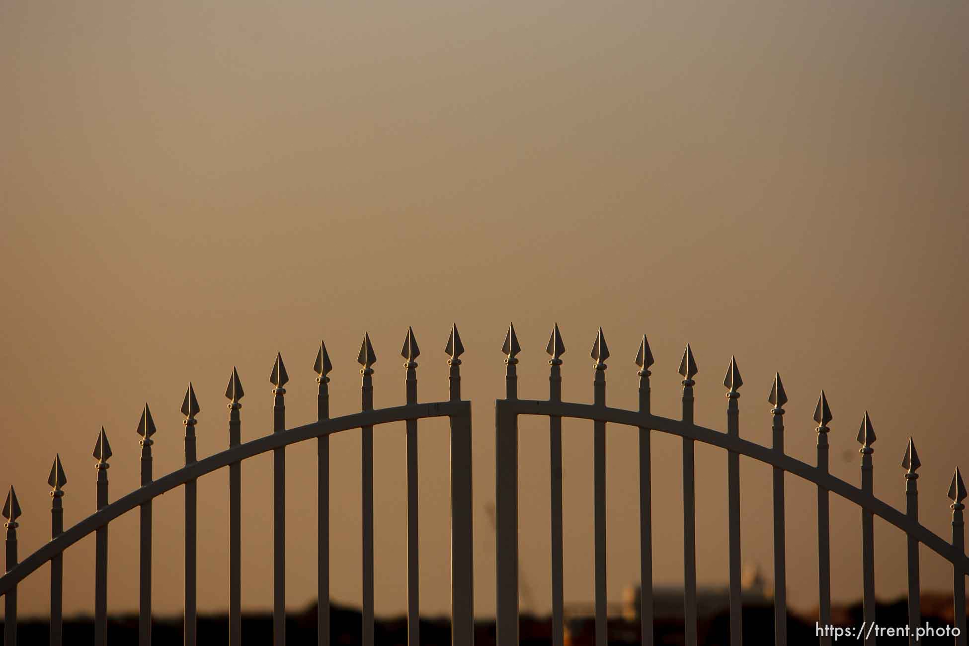 Canon EOS-1D Mark II N