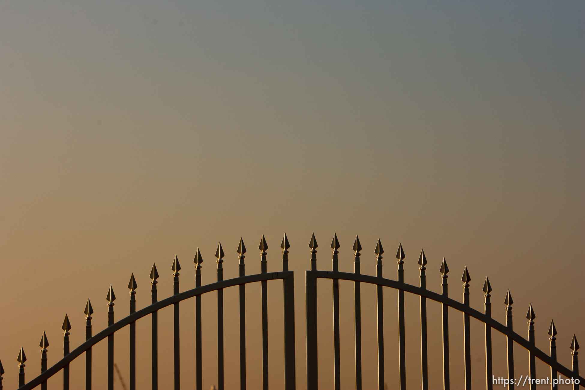 Canon EOS-1D Mark II N