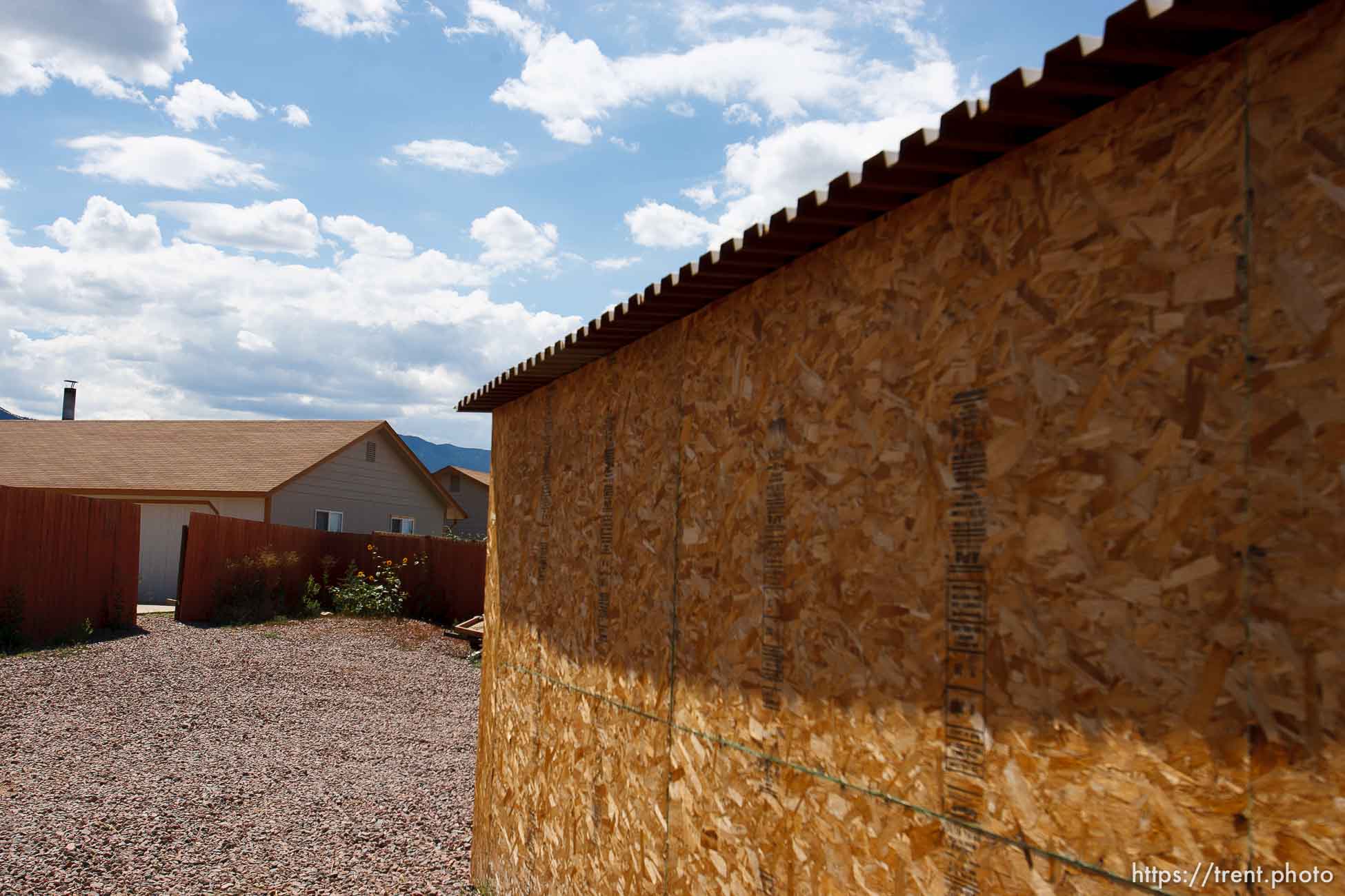 Polygamy in the American West