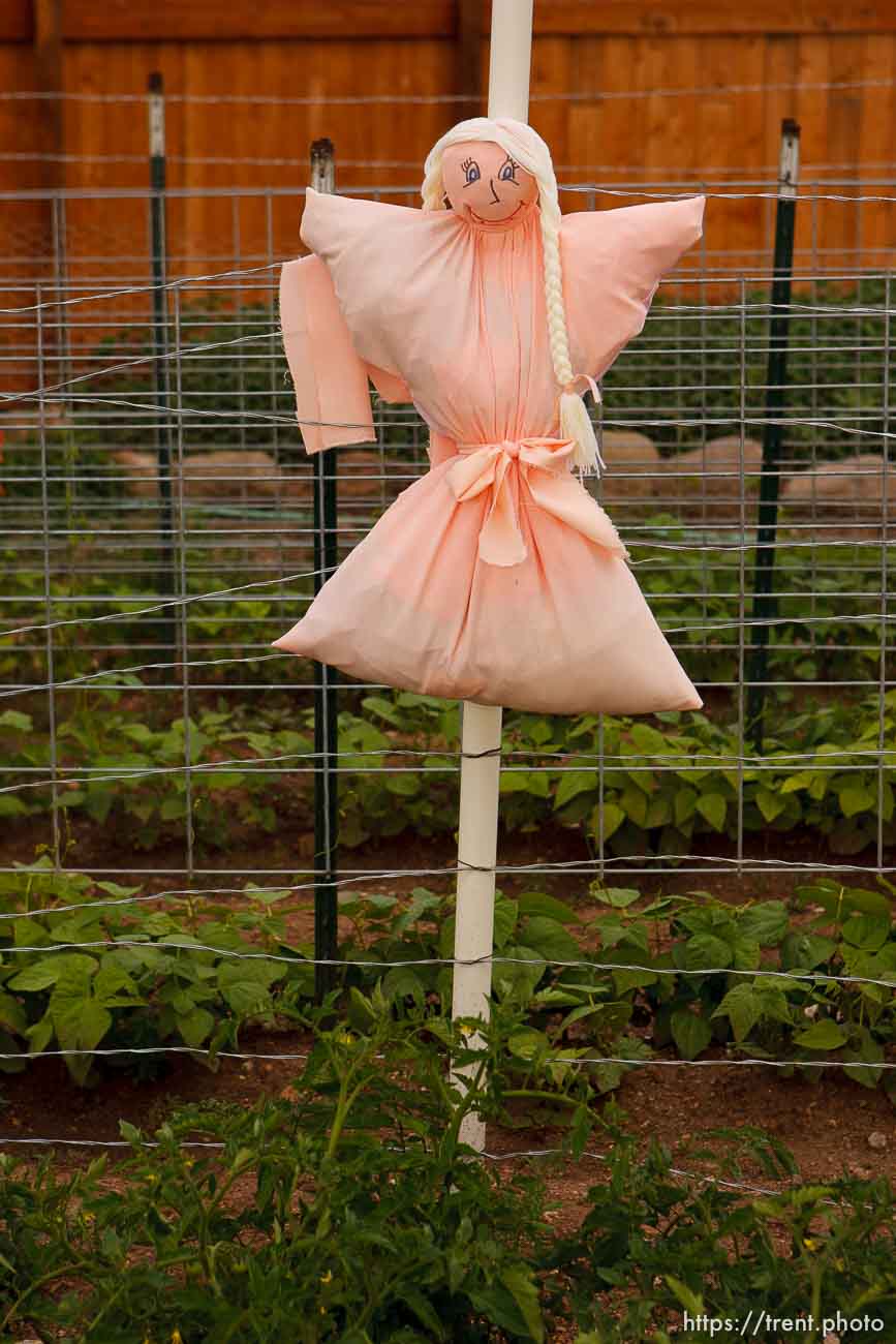 Polygamy in the American West