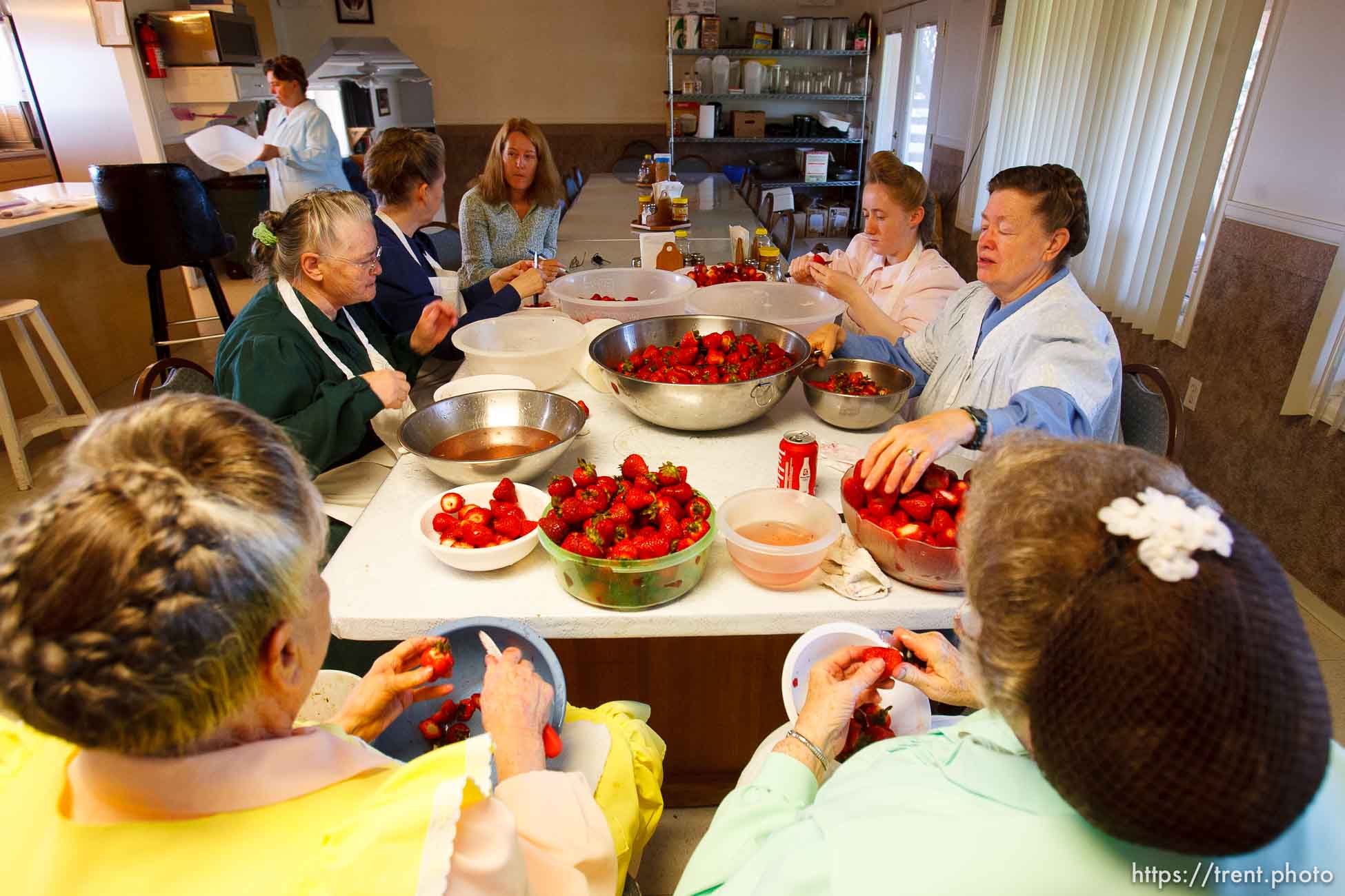 Canon EOS-1D Mark II N