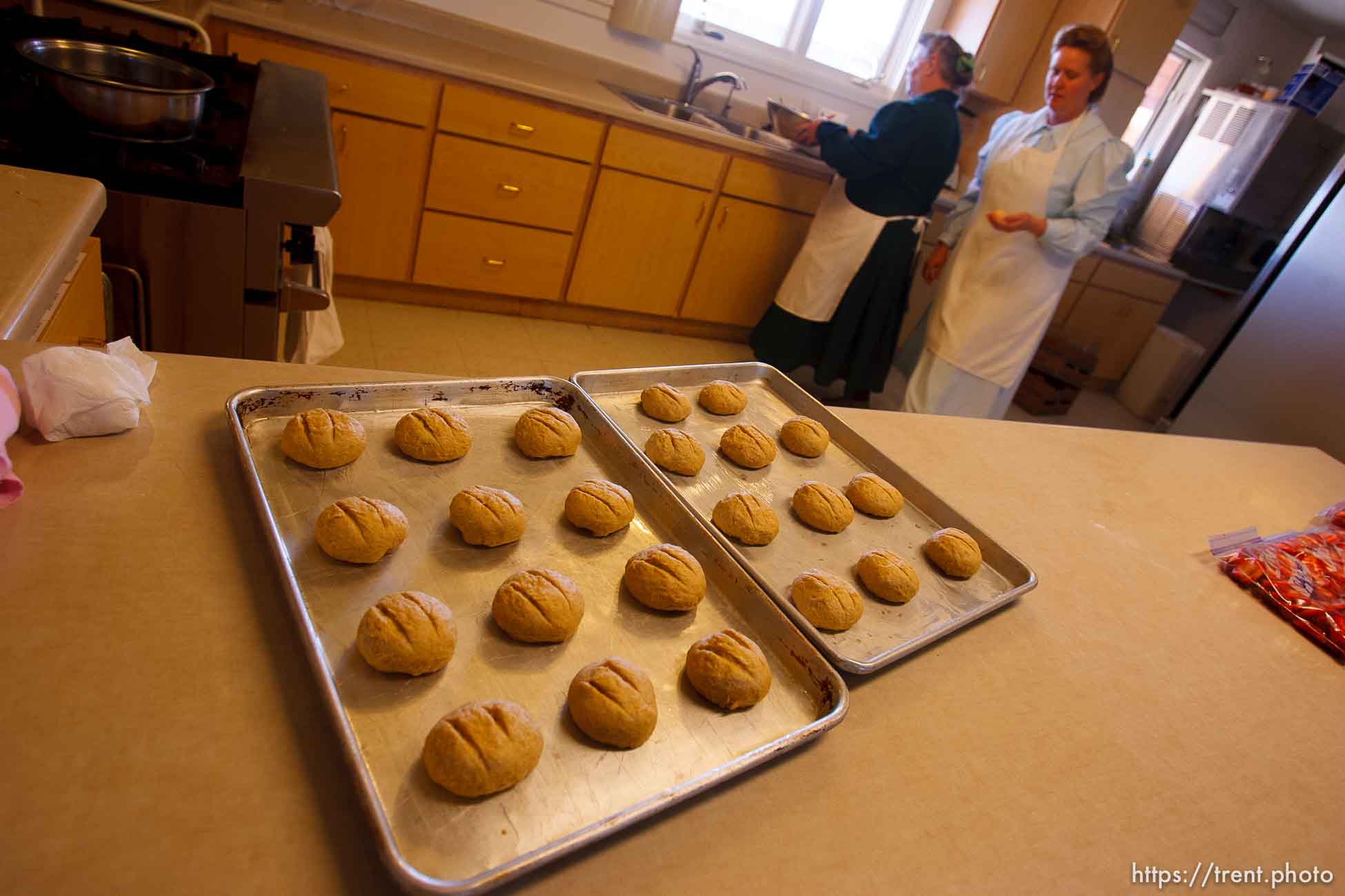 Polygamy in the American West