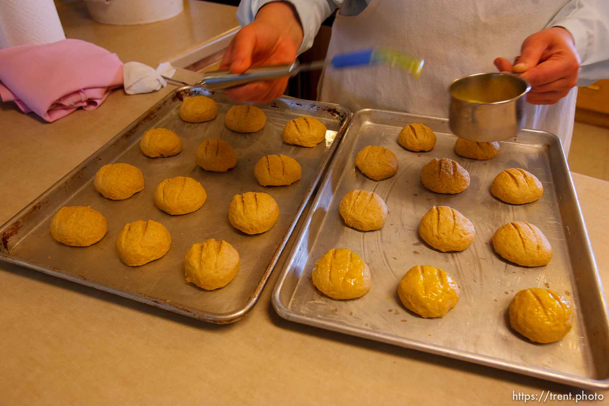 Polygamy in the American West