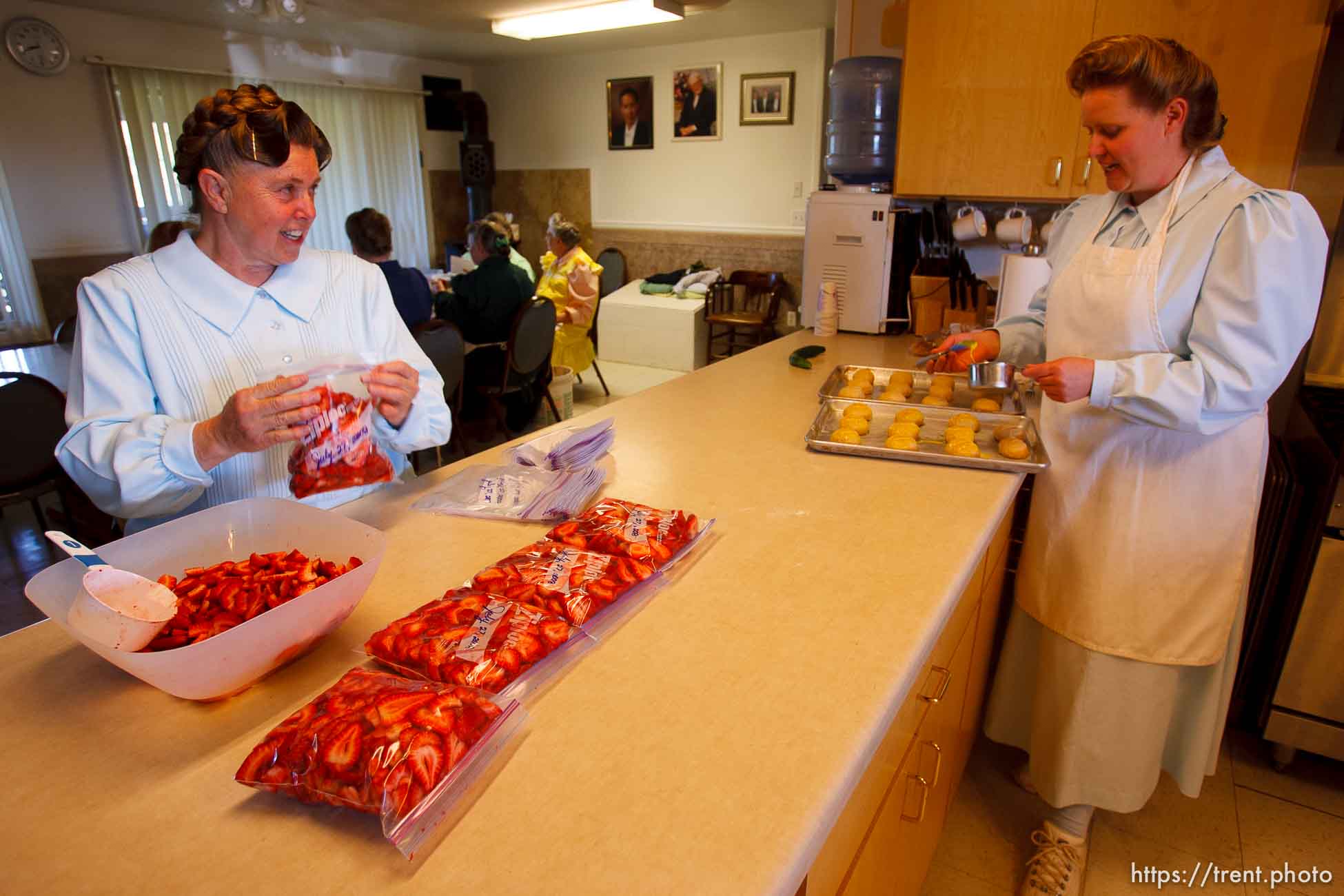 Polygamy in the American West