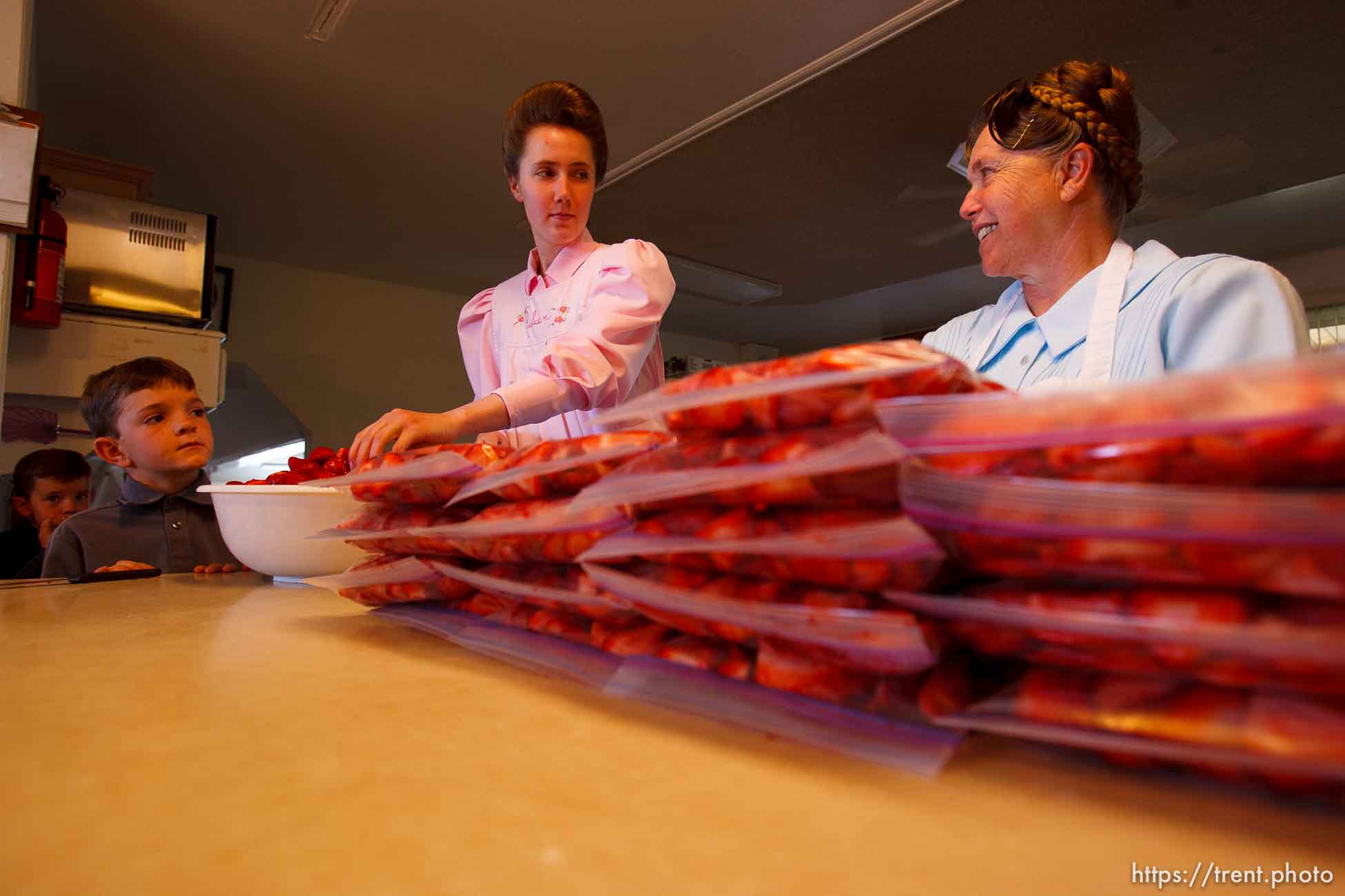 Polygamy in the American West