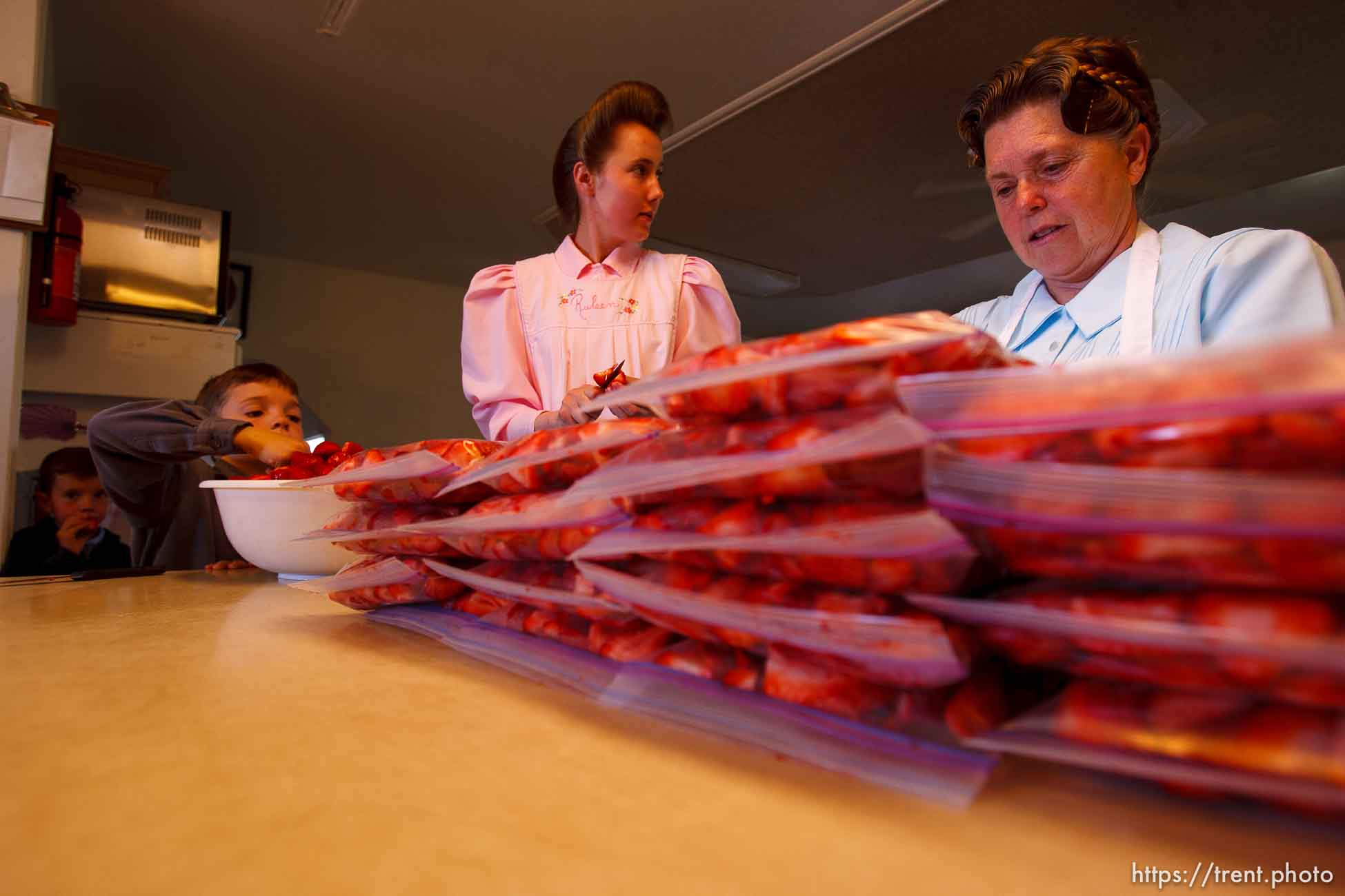 Canon EOS-1D Mark II N