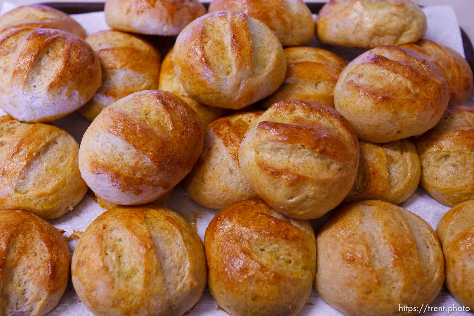 Polygamy in the American West