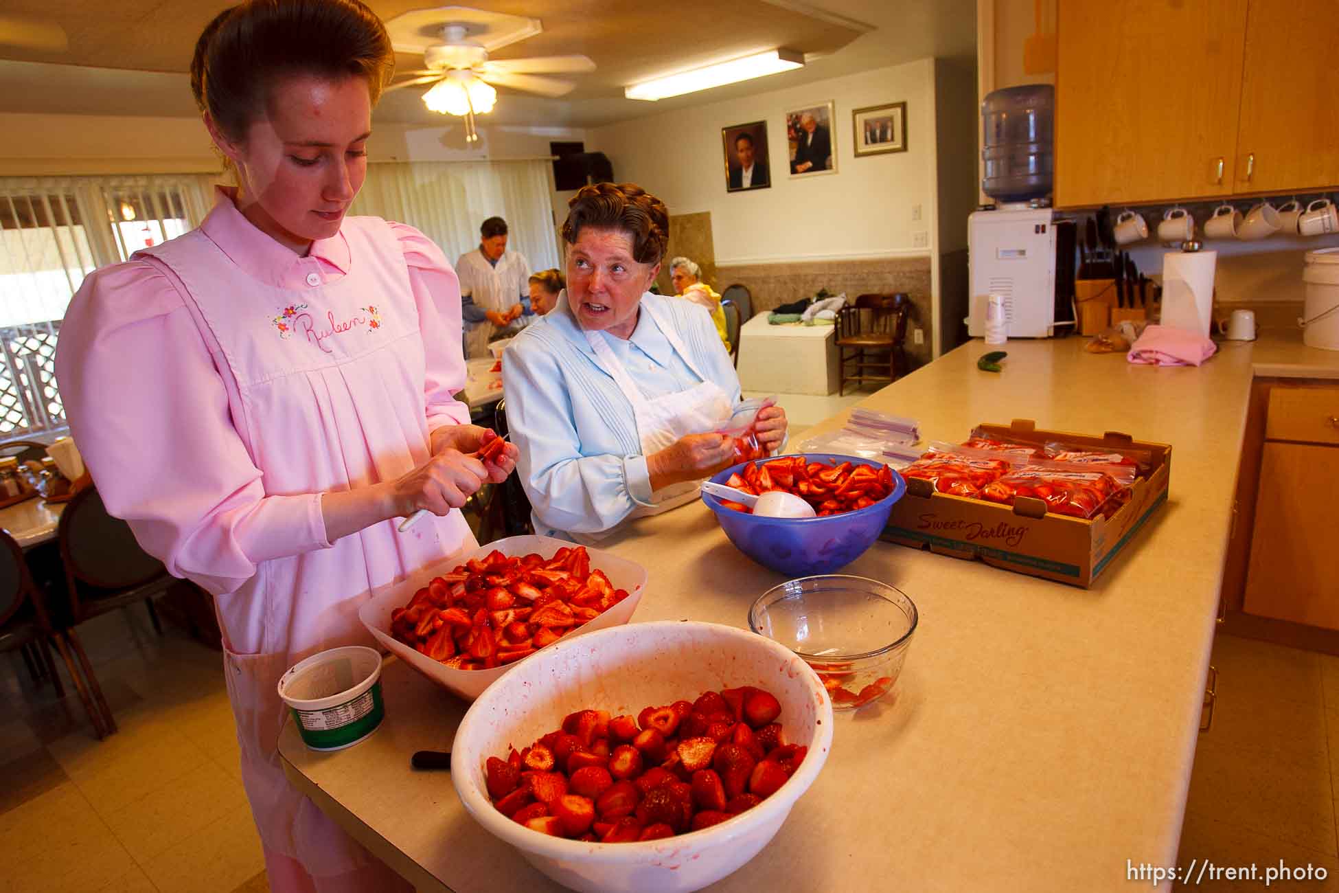 Canon EOS-1D Mark II N