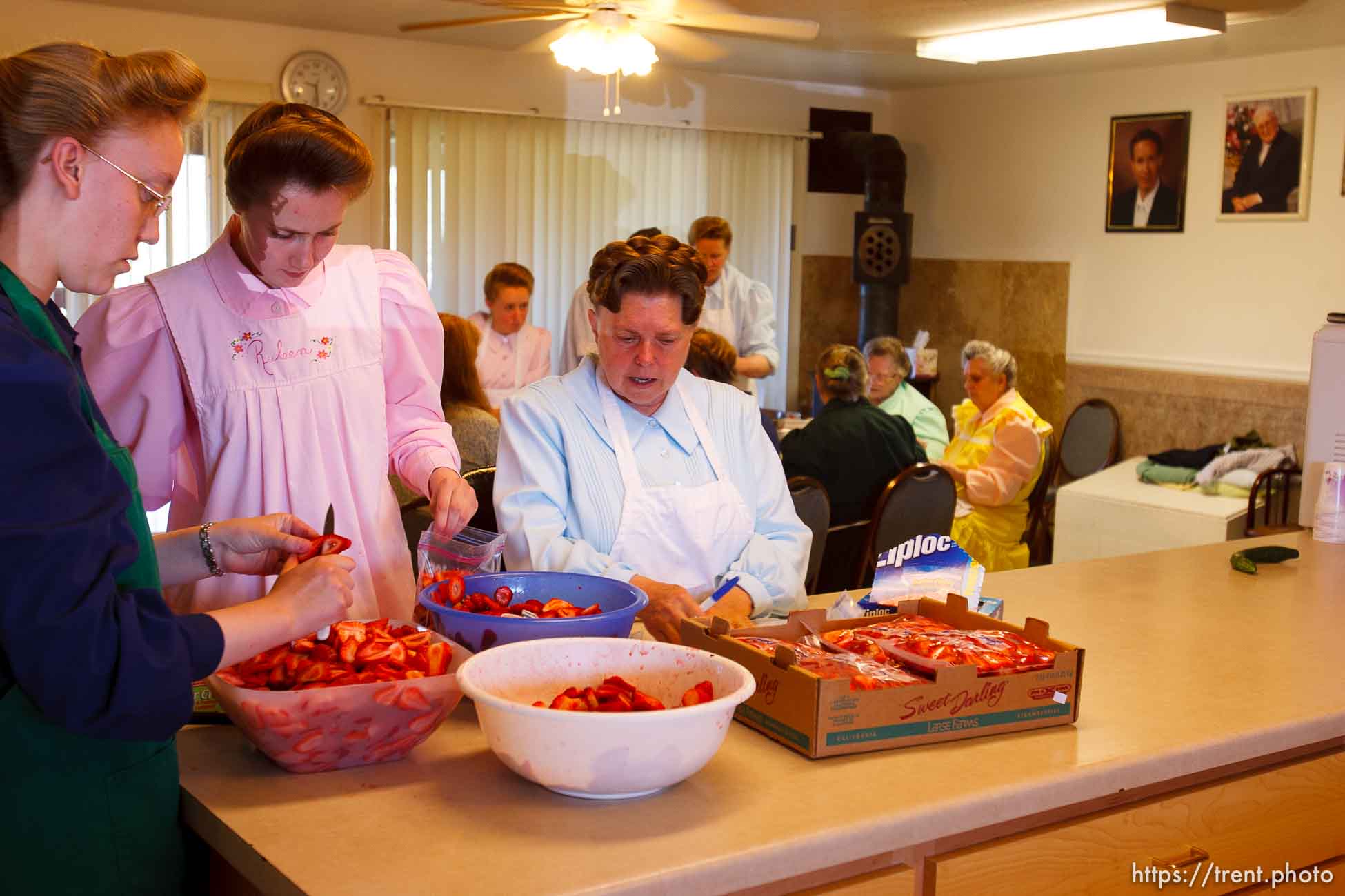 Polygamy in the American West