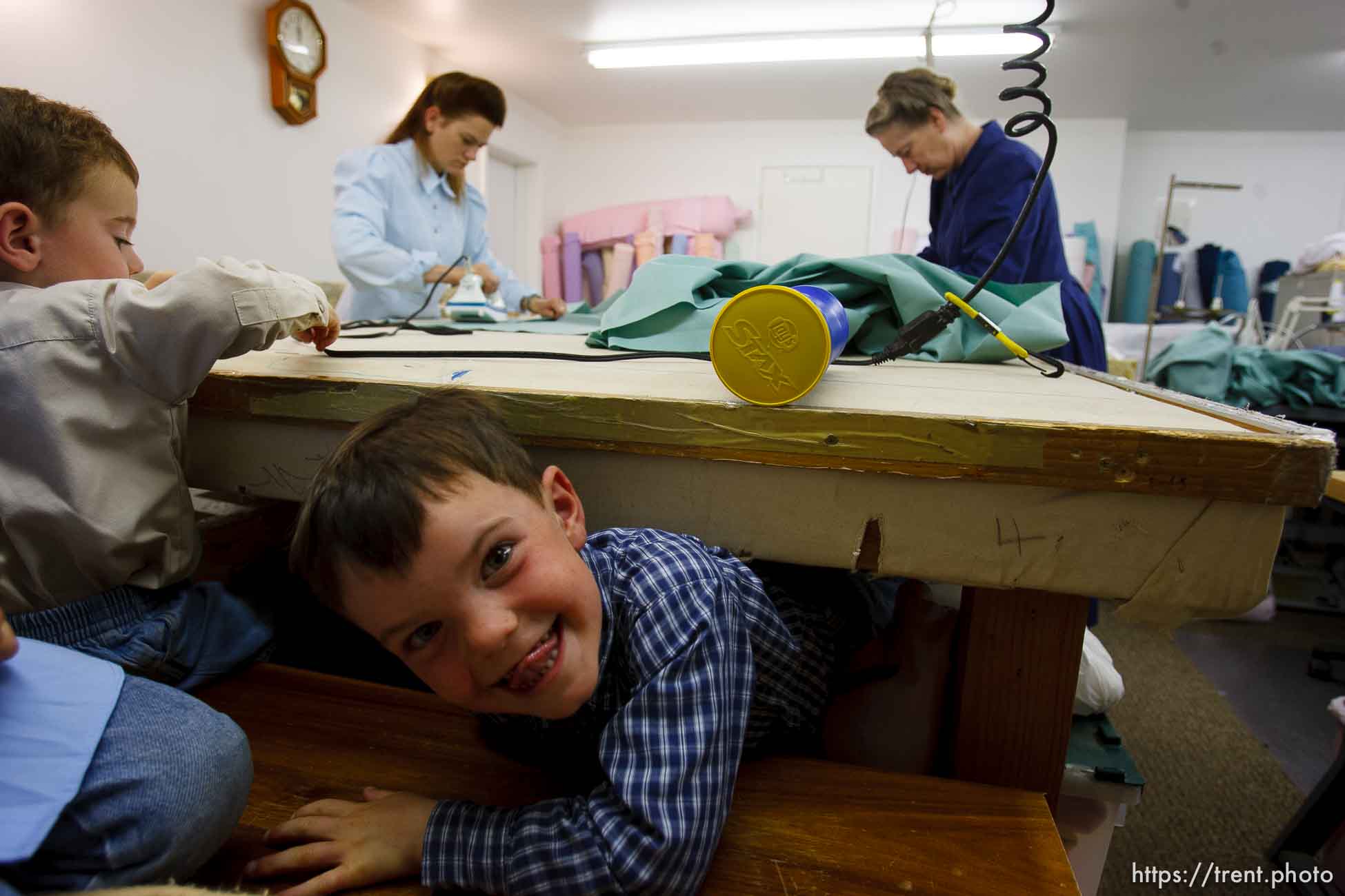 Polygamy in the American West