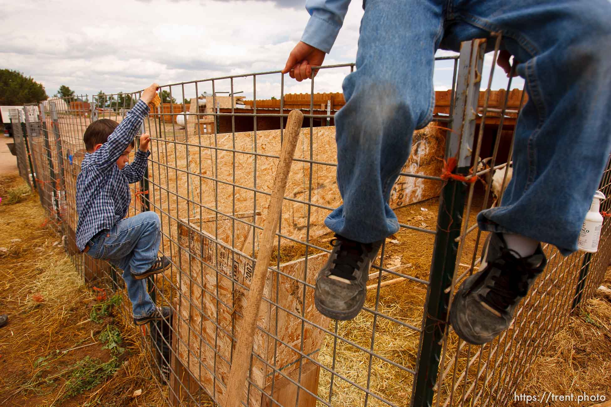 Canon EOS-1D Mark II N