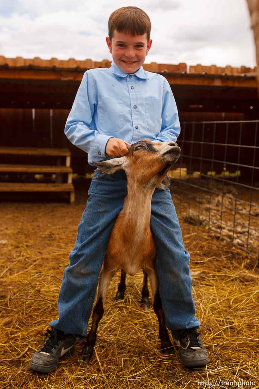 Polygamy in the American West