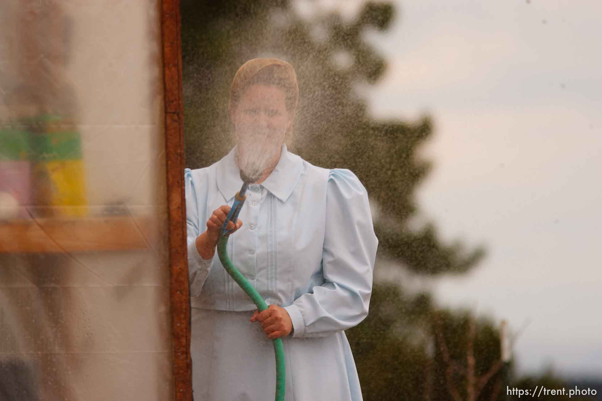 Polygamy in the American West