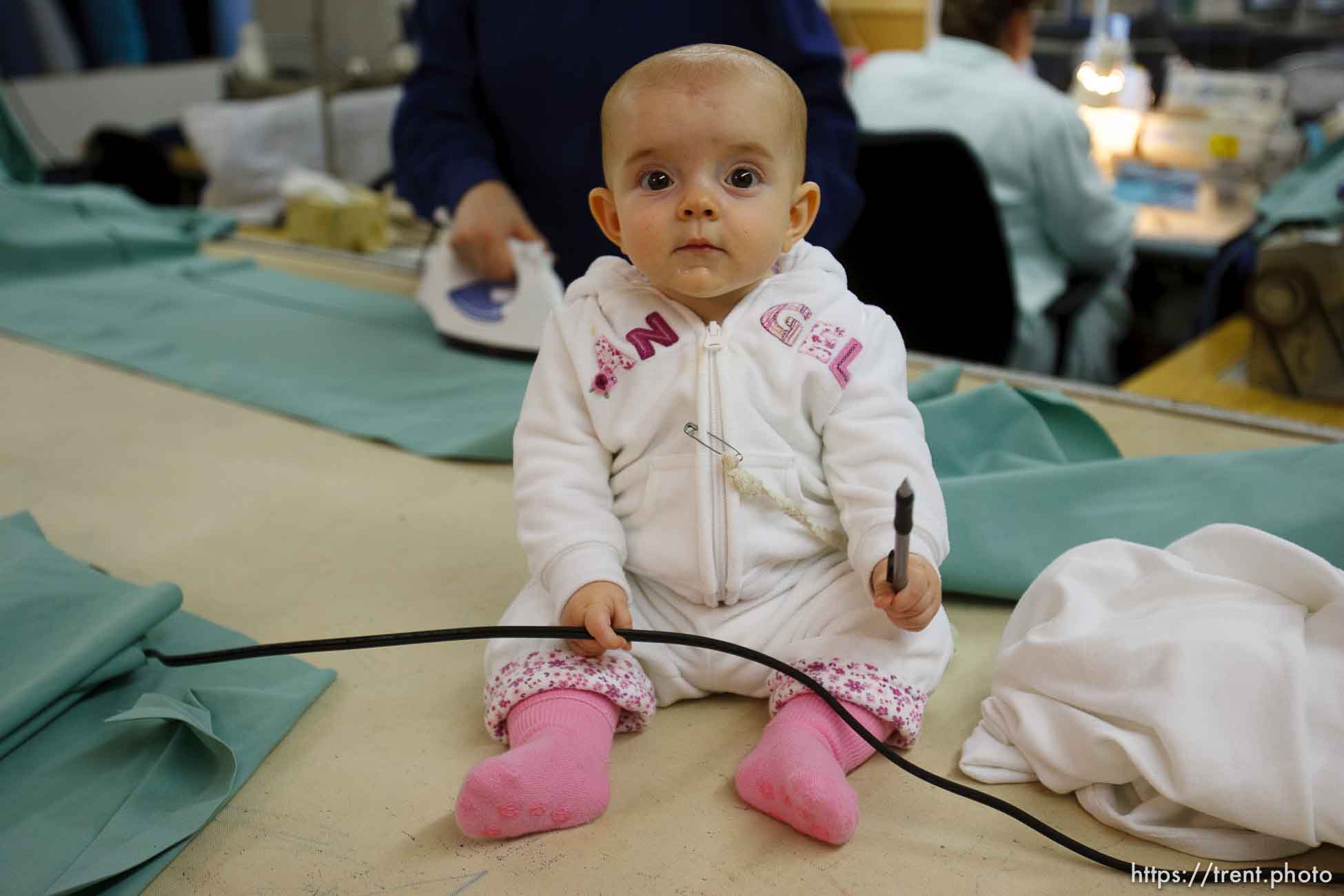 Polygamy in the American West