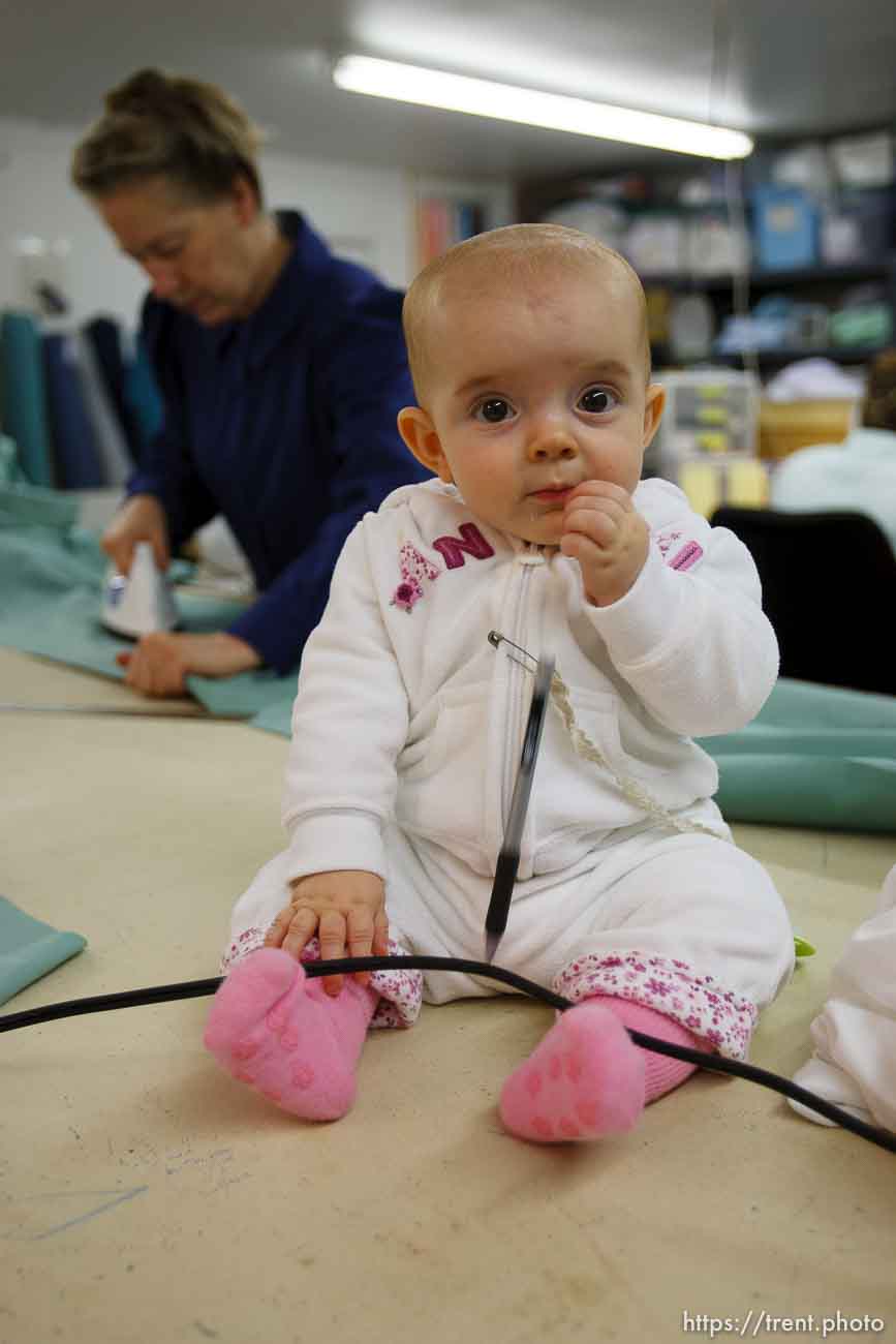 Polygamy in the American West