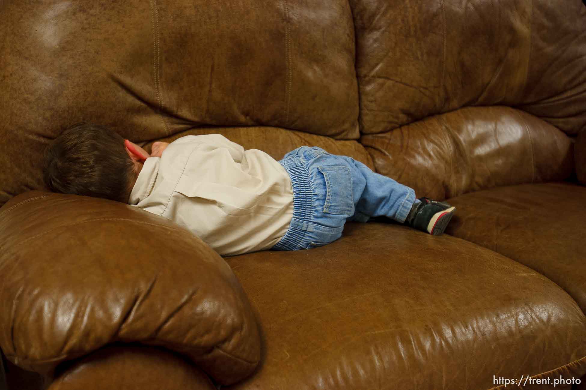 Polygamy in the American West