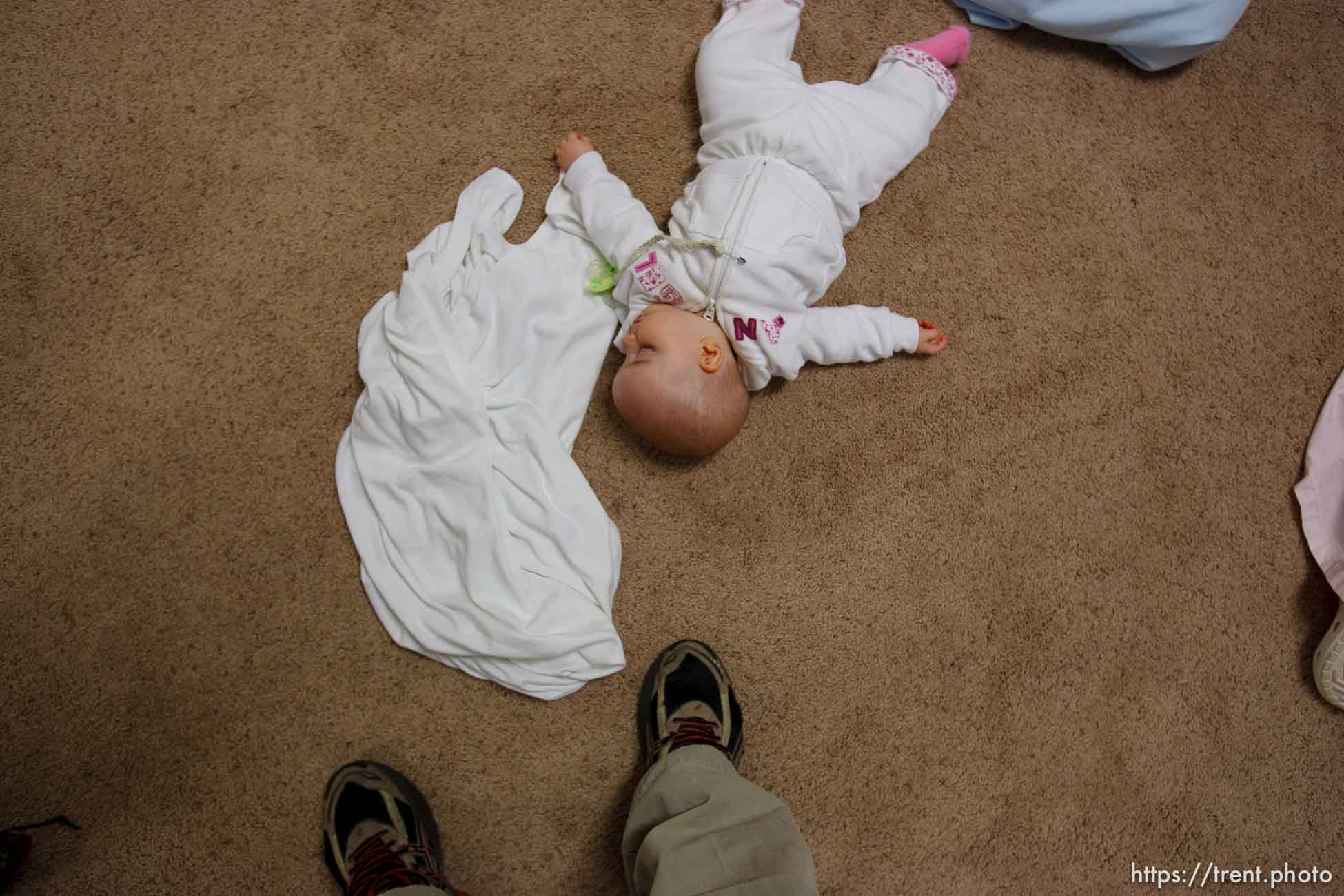 Polygamy in the American West