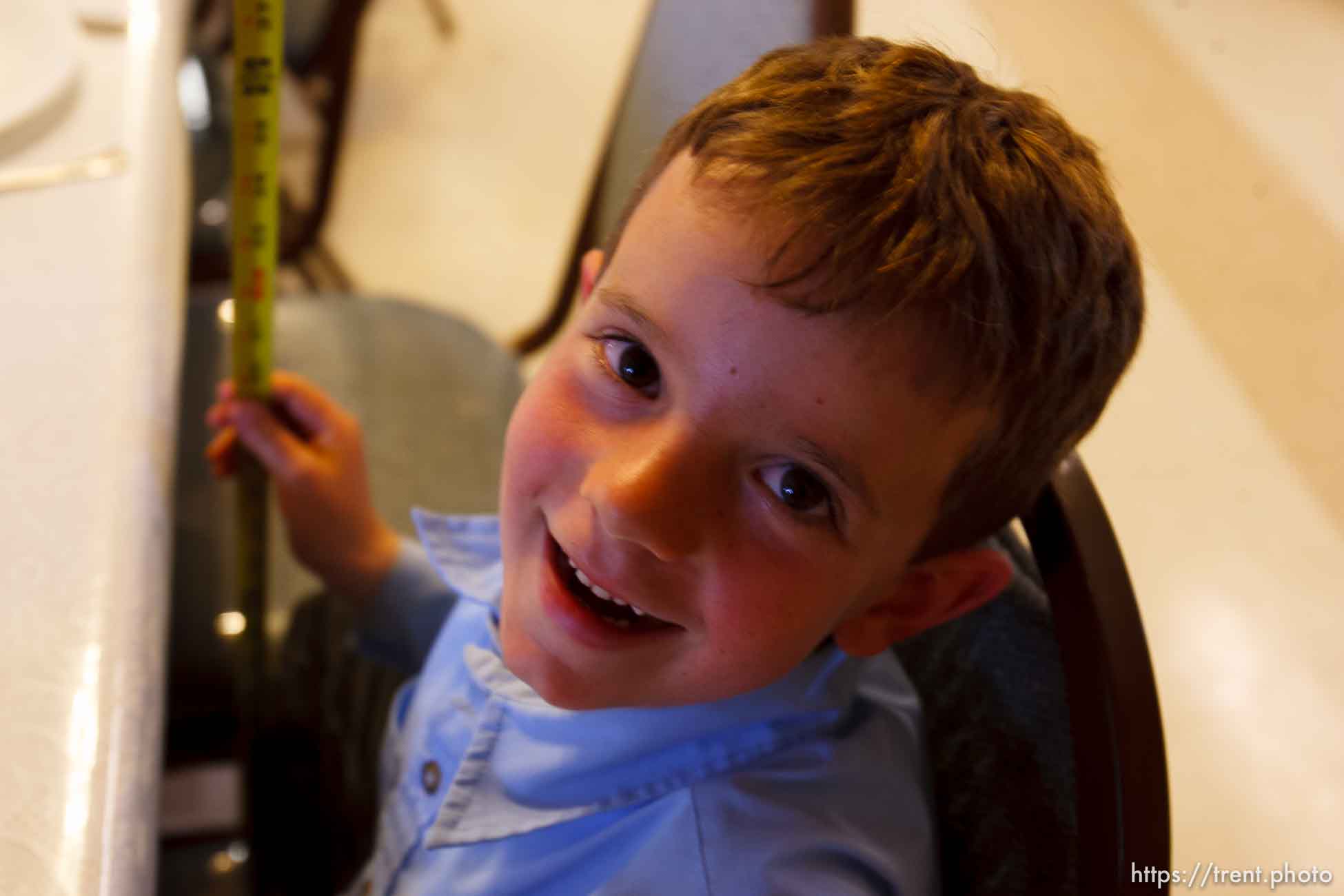 Polygamy in the American West