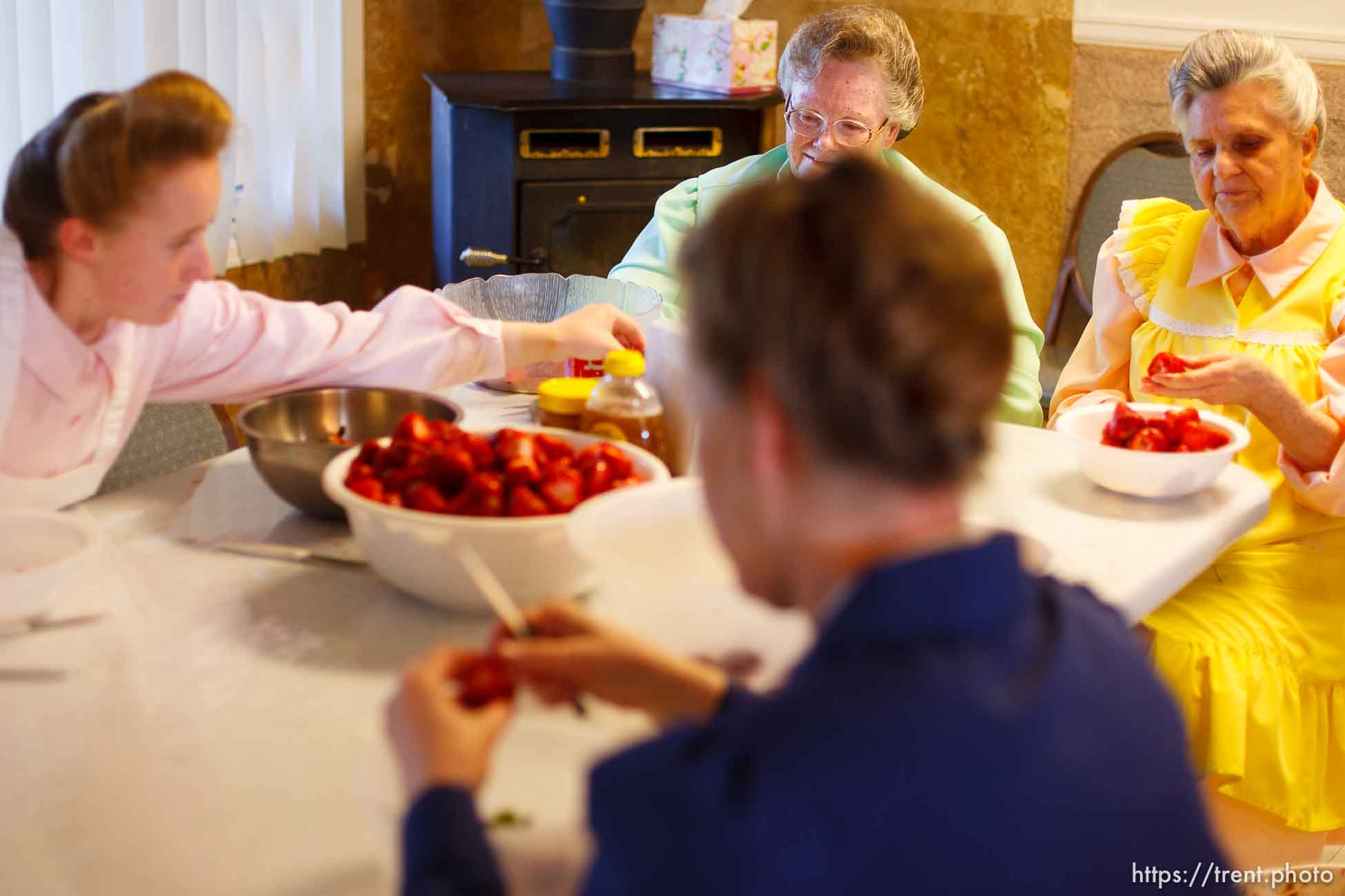 Polygamy in the American West