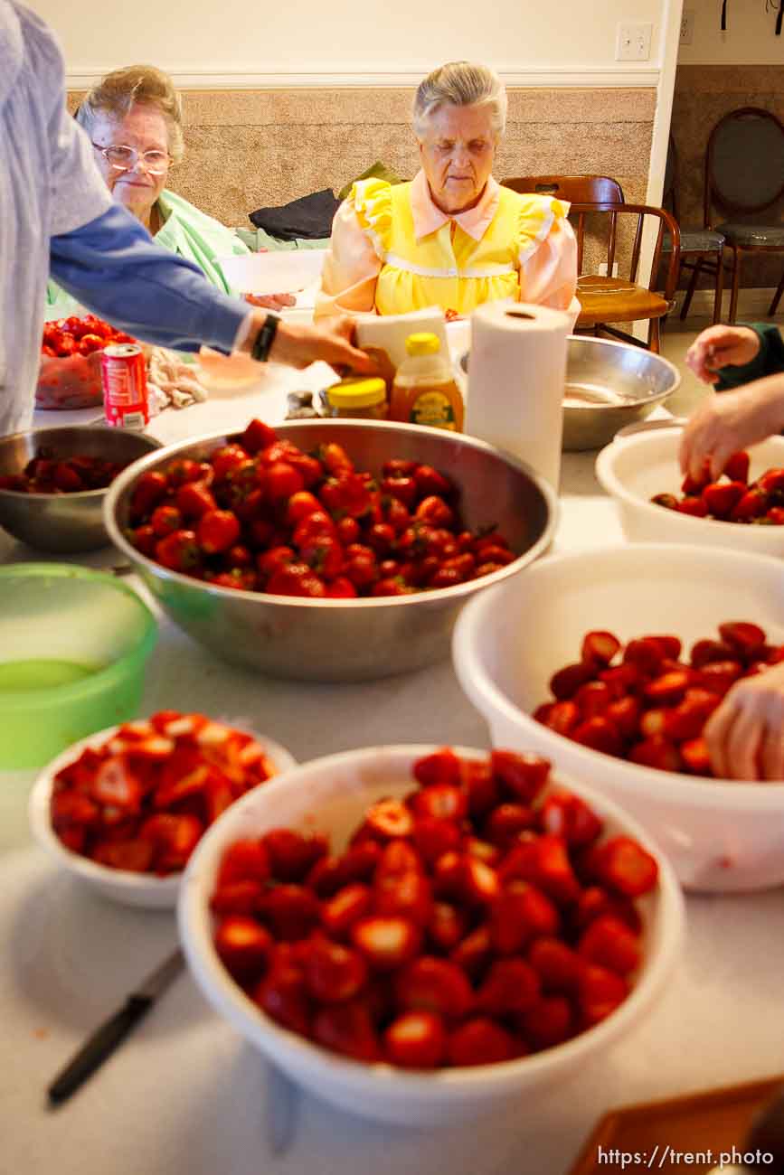 Canon EOS-1D Mark II N