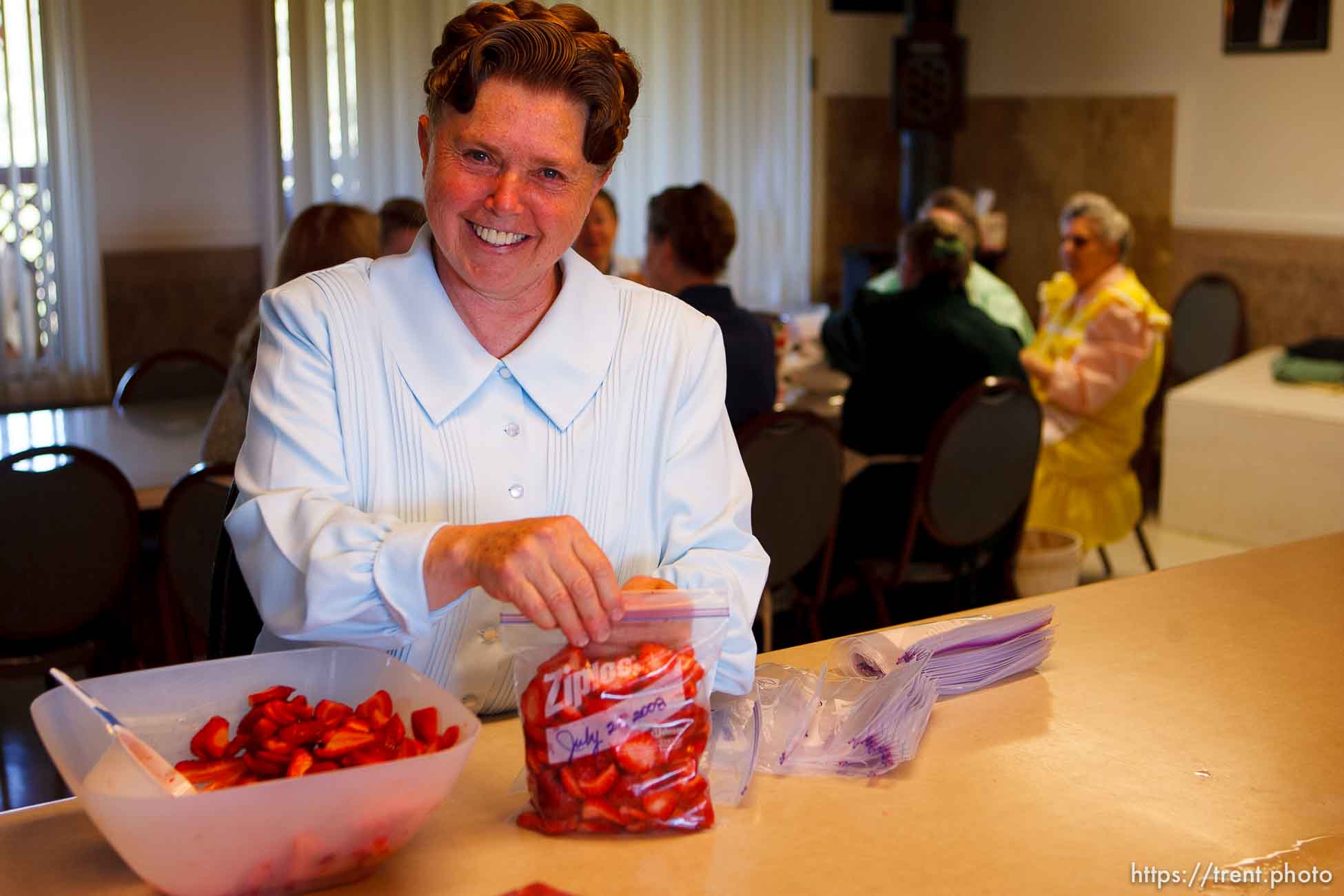 Polygamy in the American West