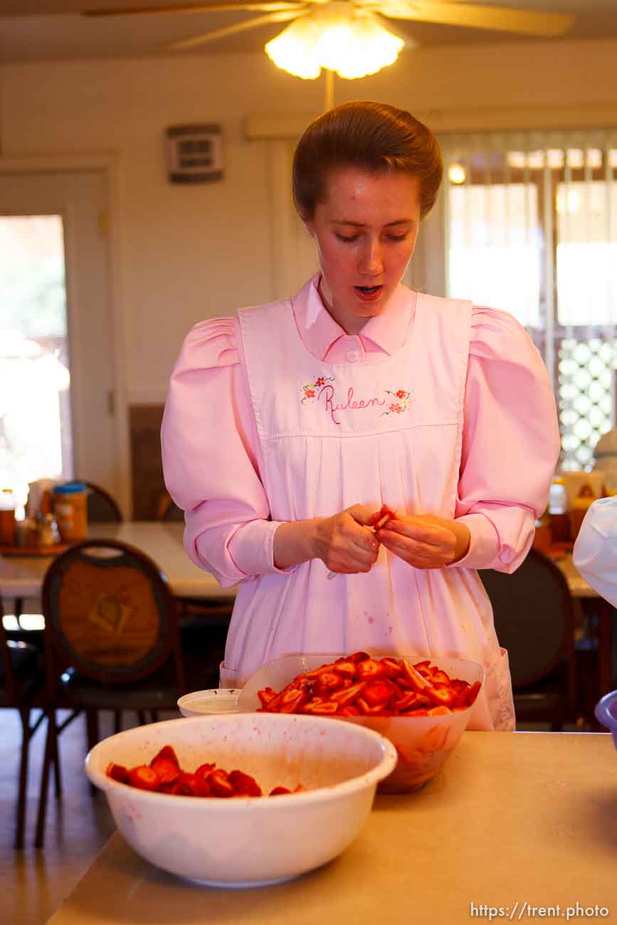 Canon EOS-1D Mark II N