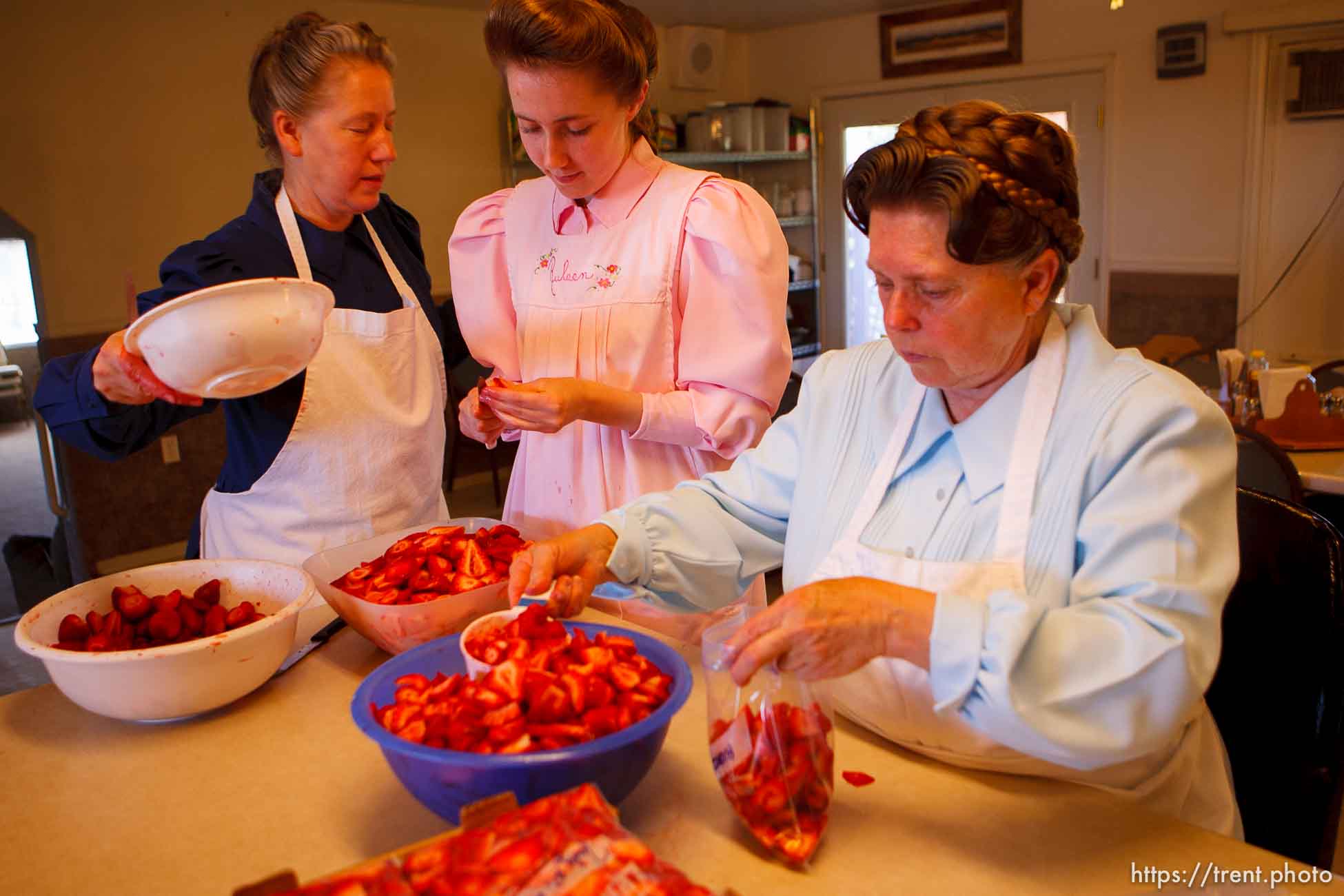 Polygamy in the American West