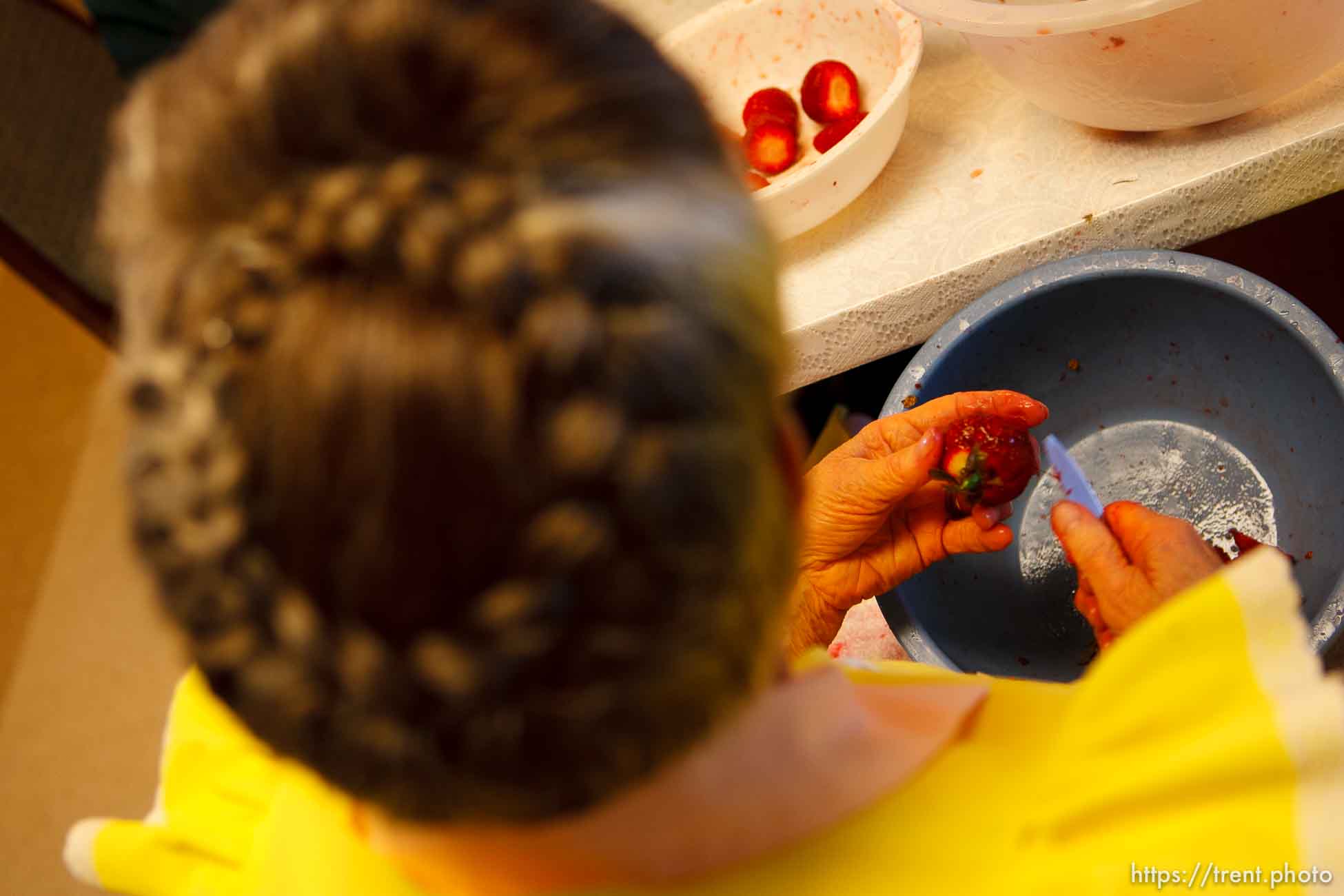 Polygamy in the American West