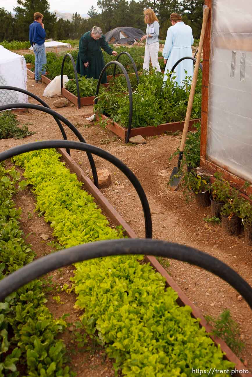 Polygamy in the American West