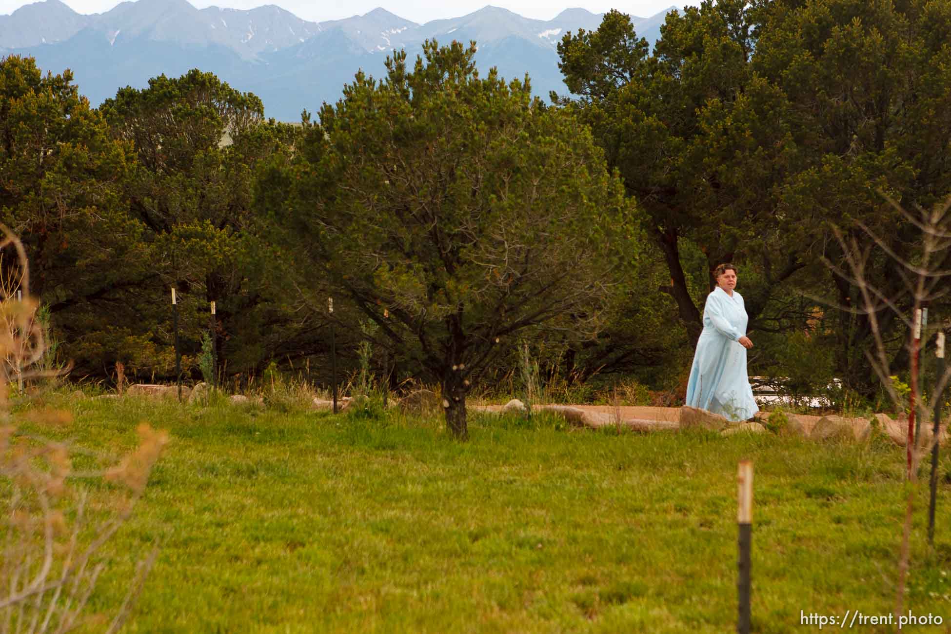 Polygamy in the American West